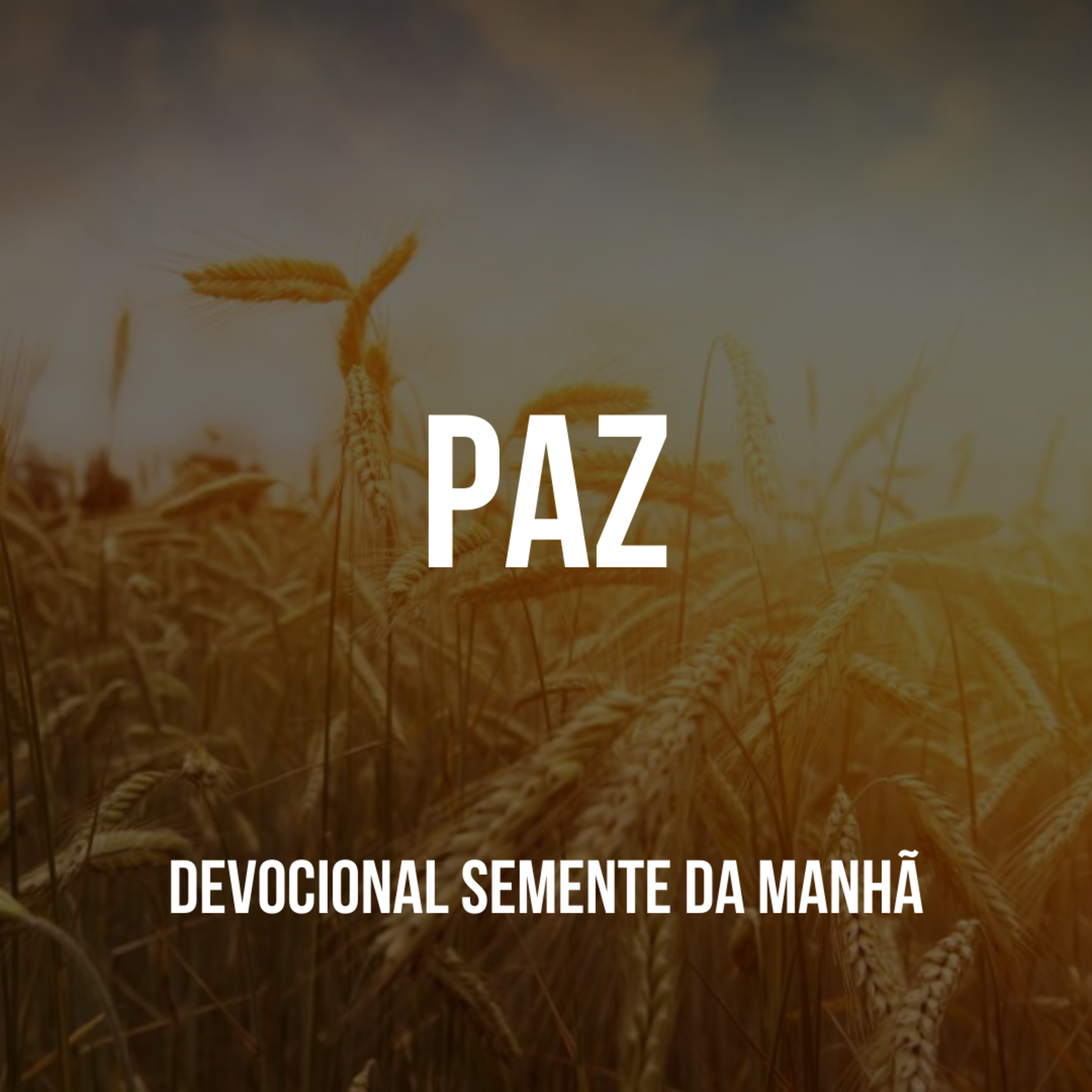 Pr Fernando Mello - Devocionais