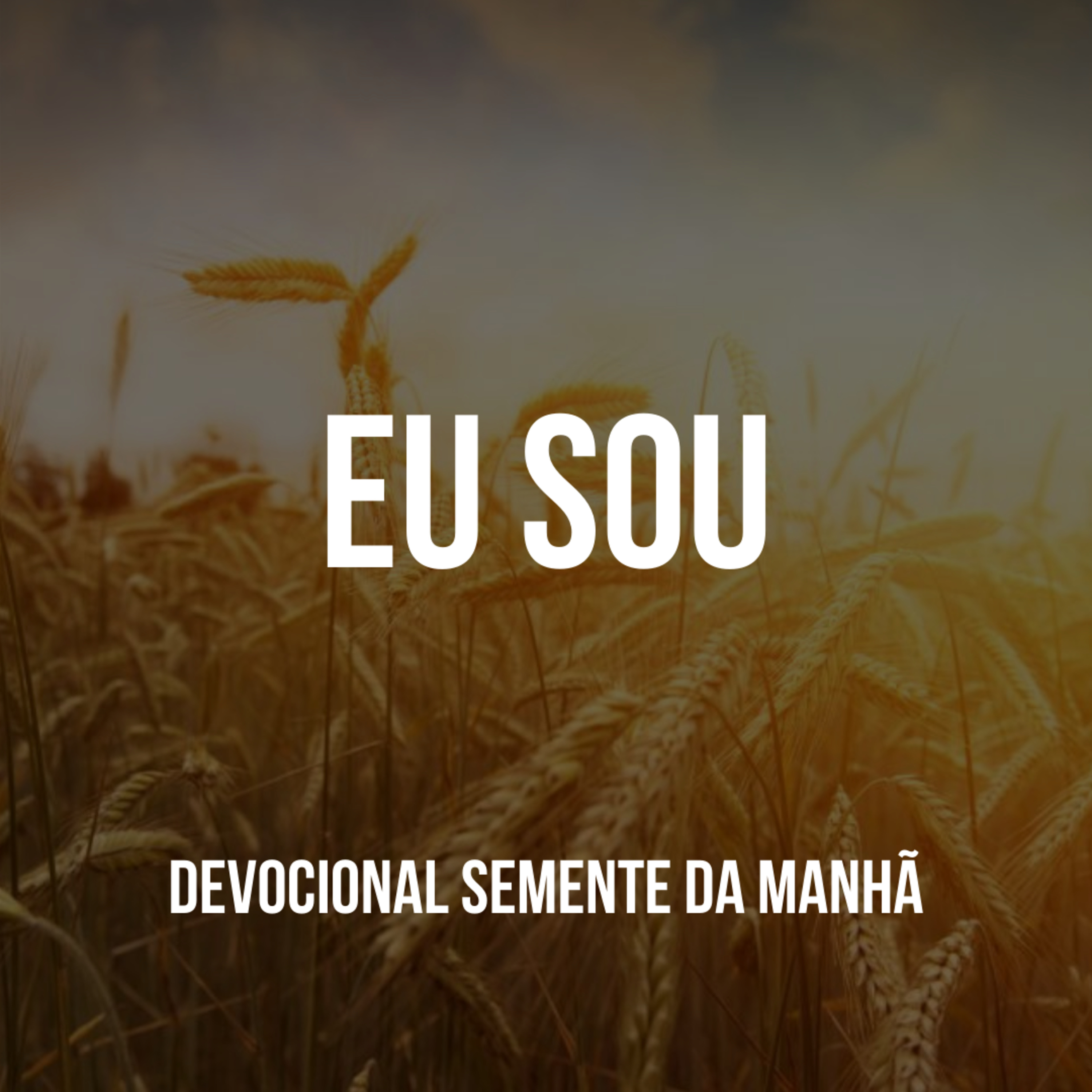 Pr Fernando Mello - Devocionais