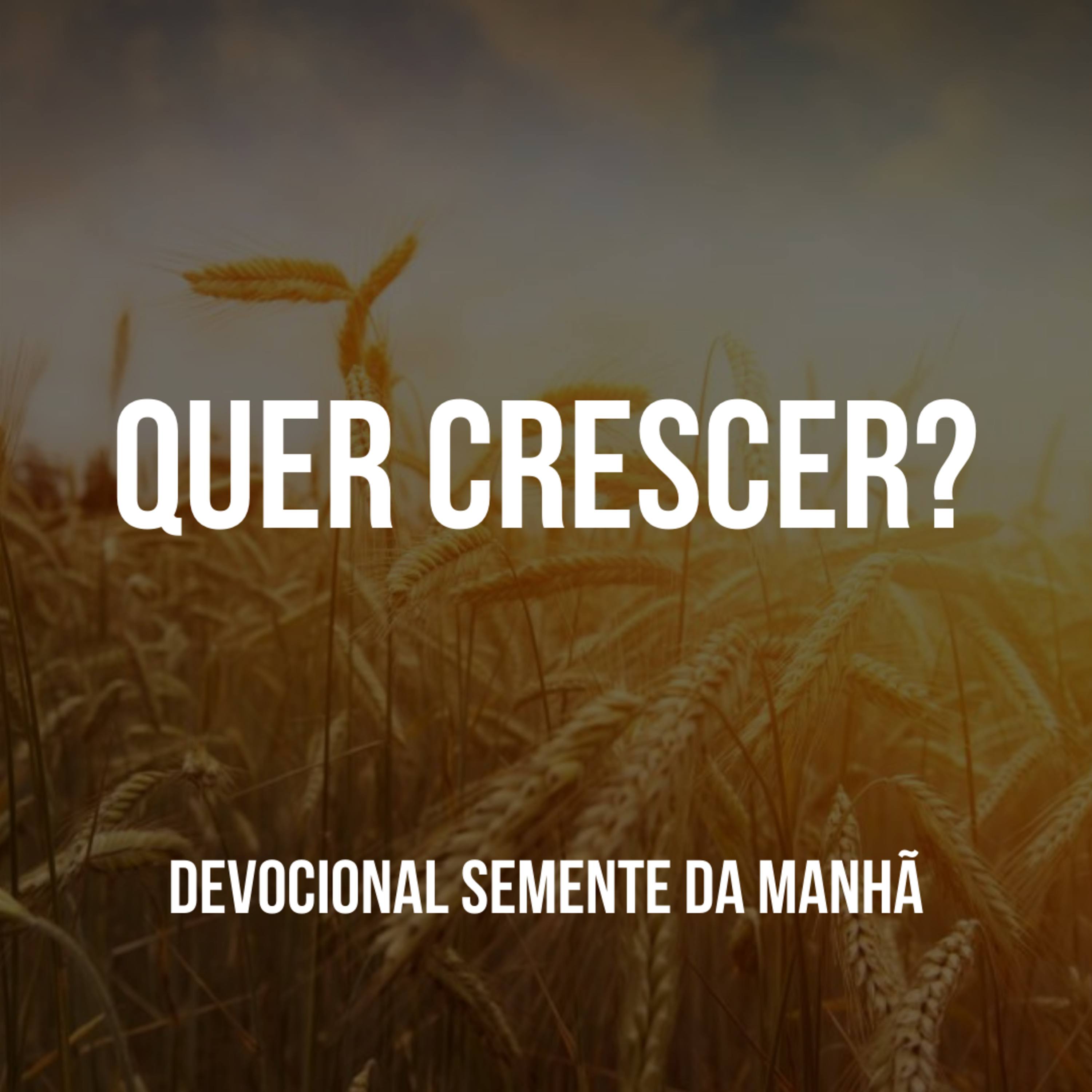 Pr Fernando Mello - Devocionais