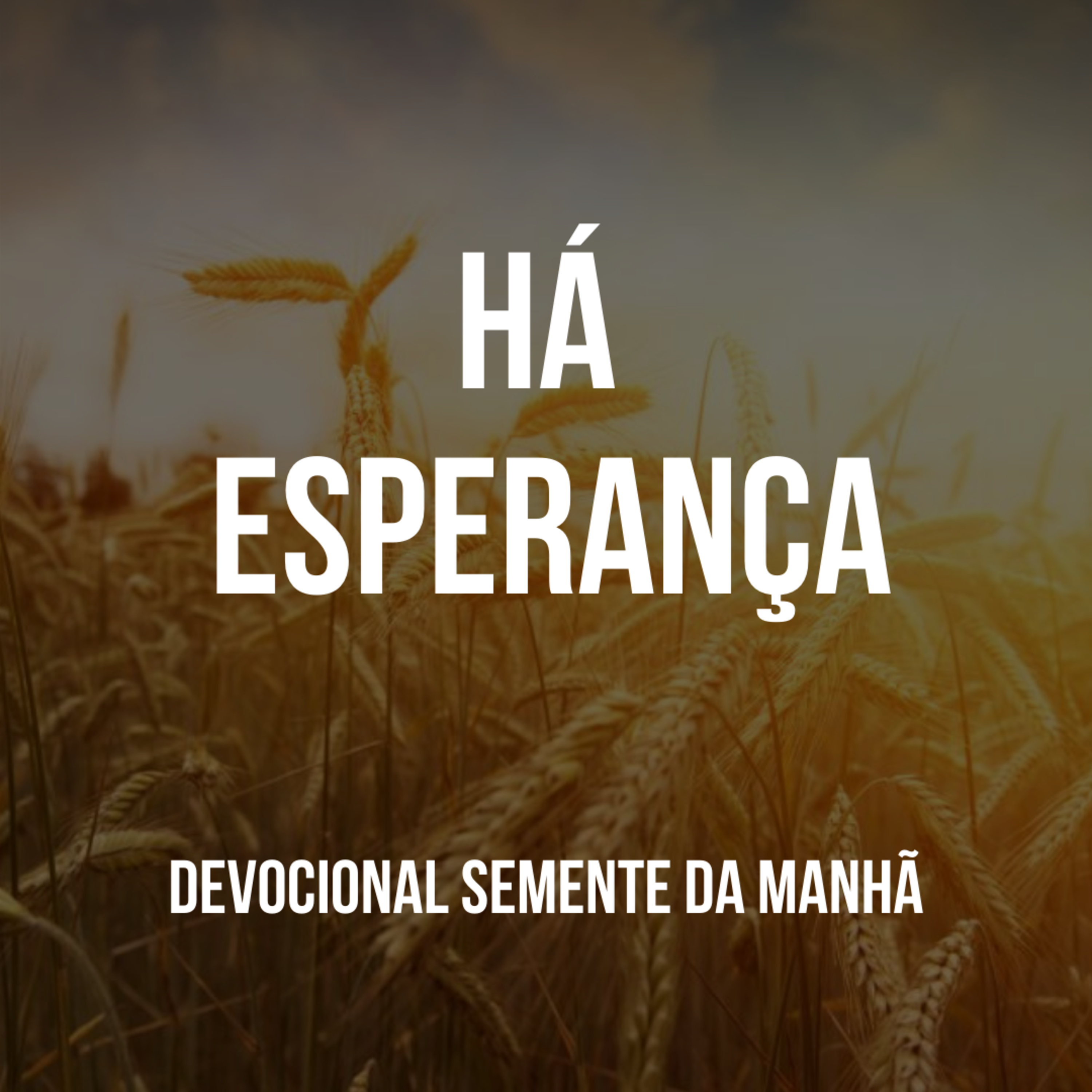 Pr Fernando Mello - Devocionais