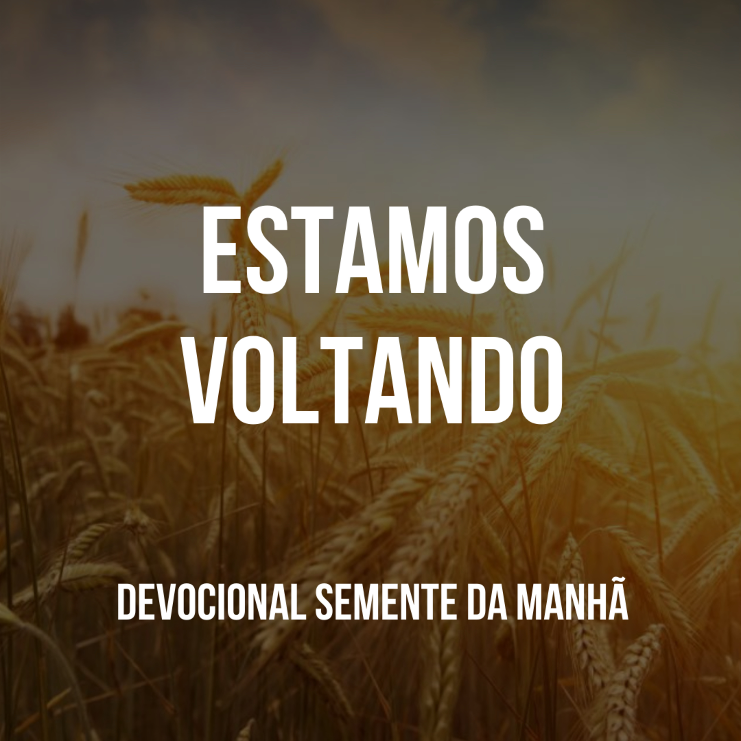 Pr Fernando Mello - Devocionais