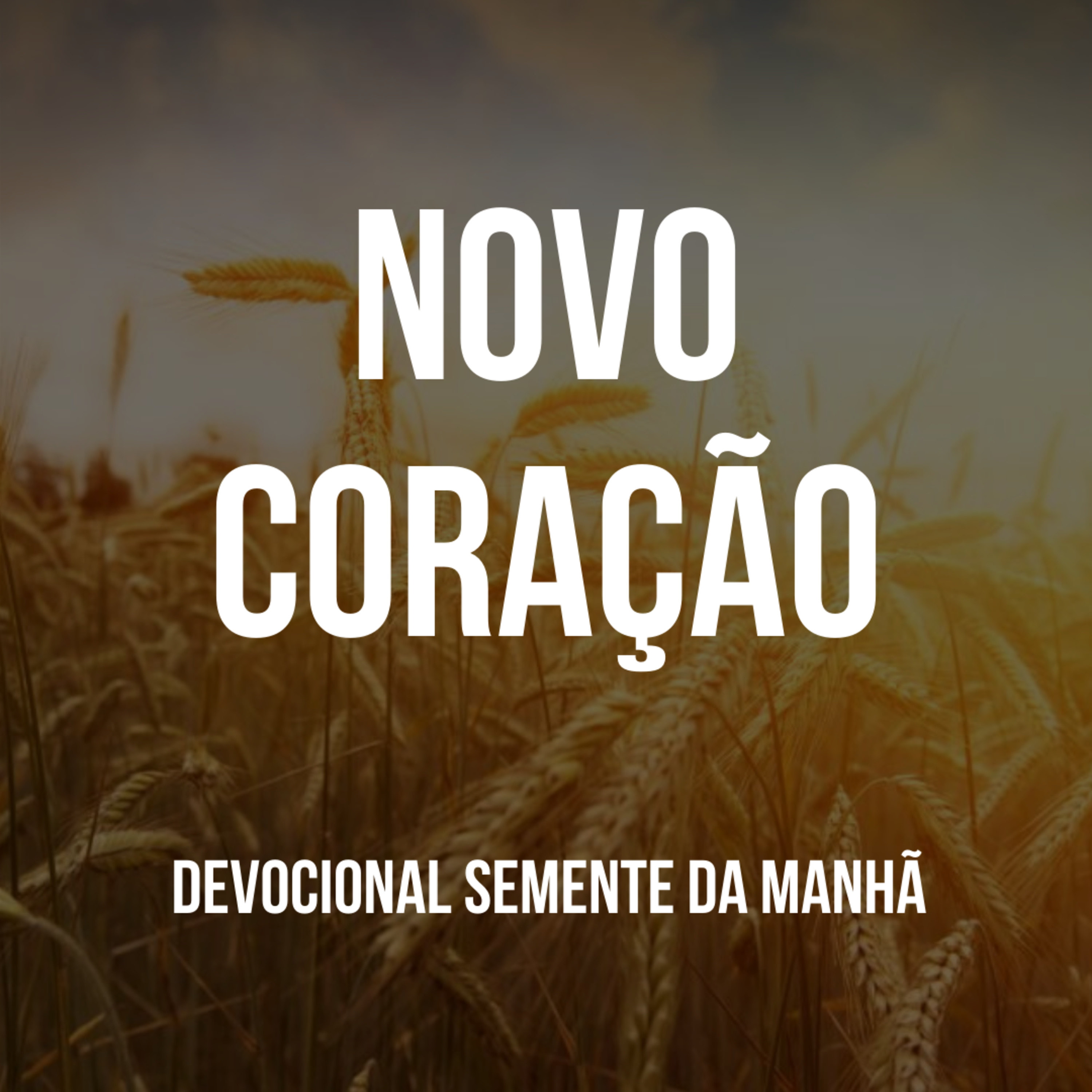 Pr Fernando Mello - Devocionais