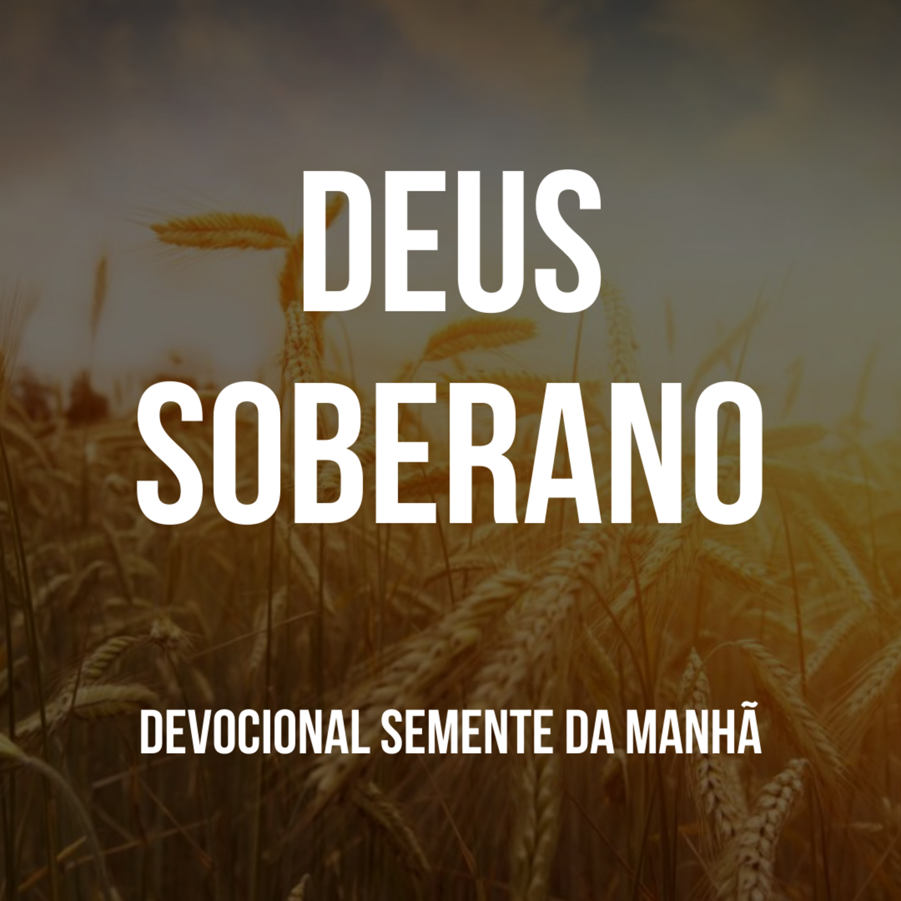 Pr Fernando Mello - Devocionais