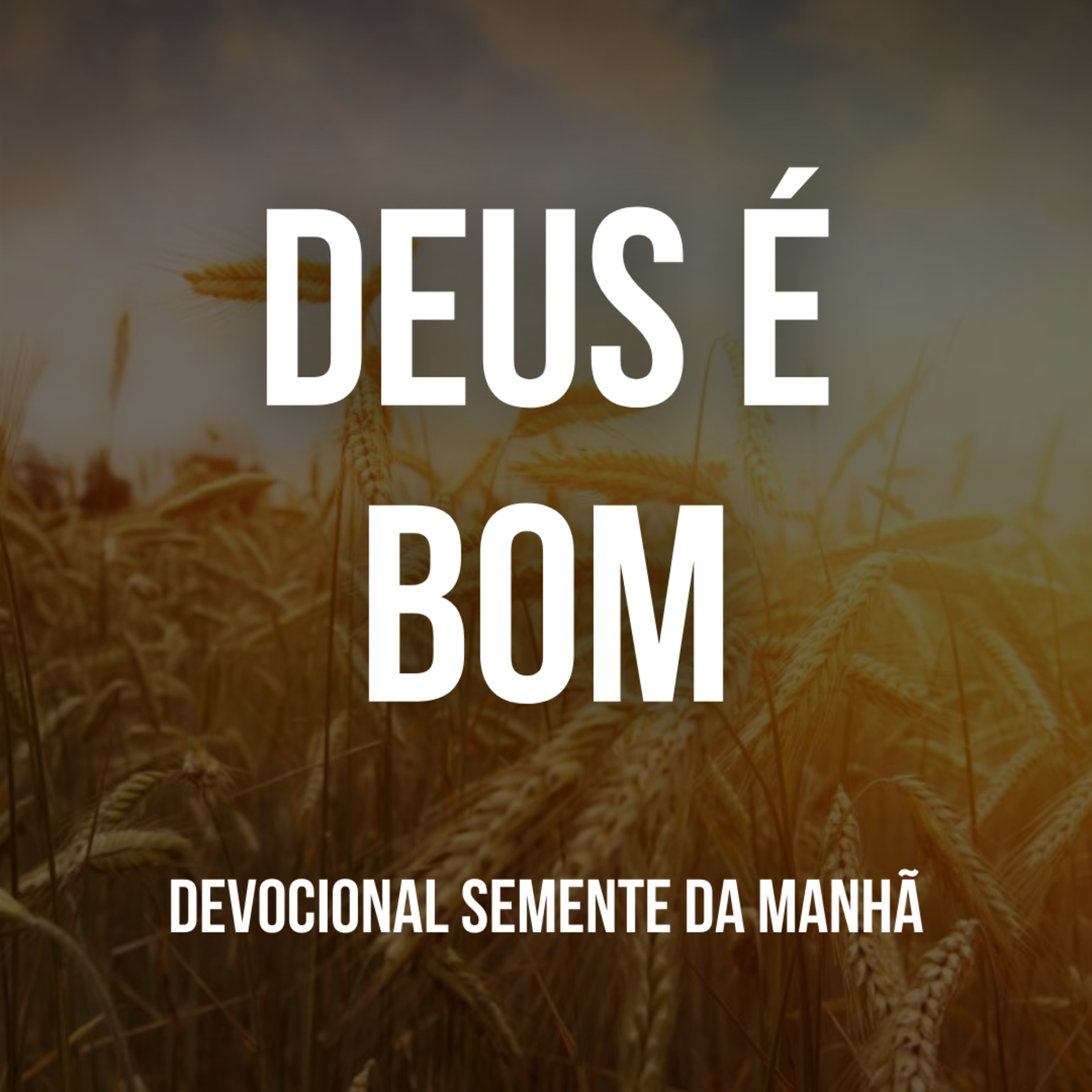 Pr Fernando Mello - Devocionais
