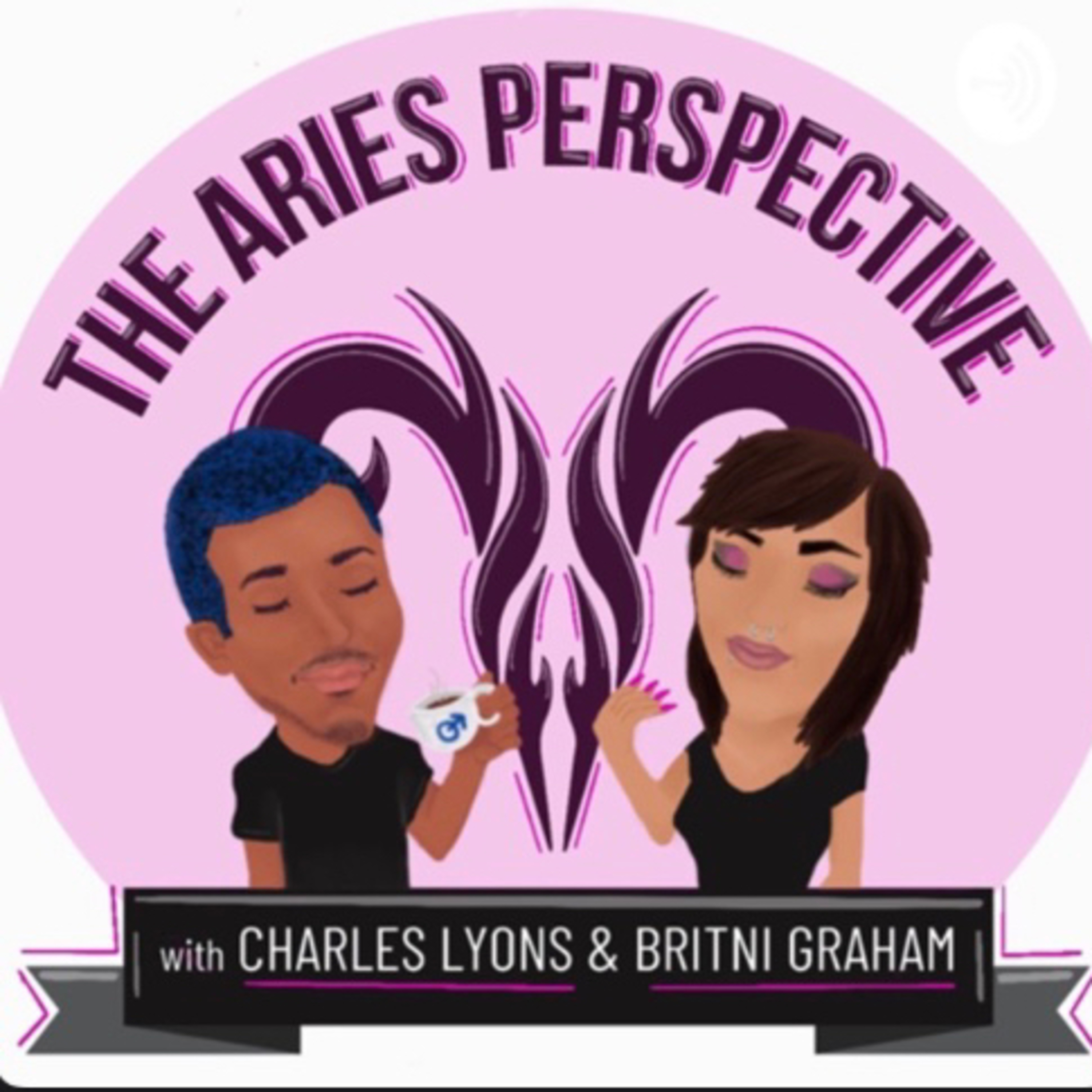 The Aries Perspective