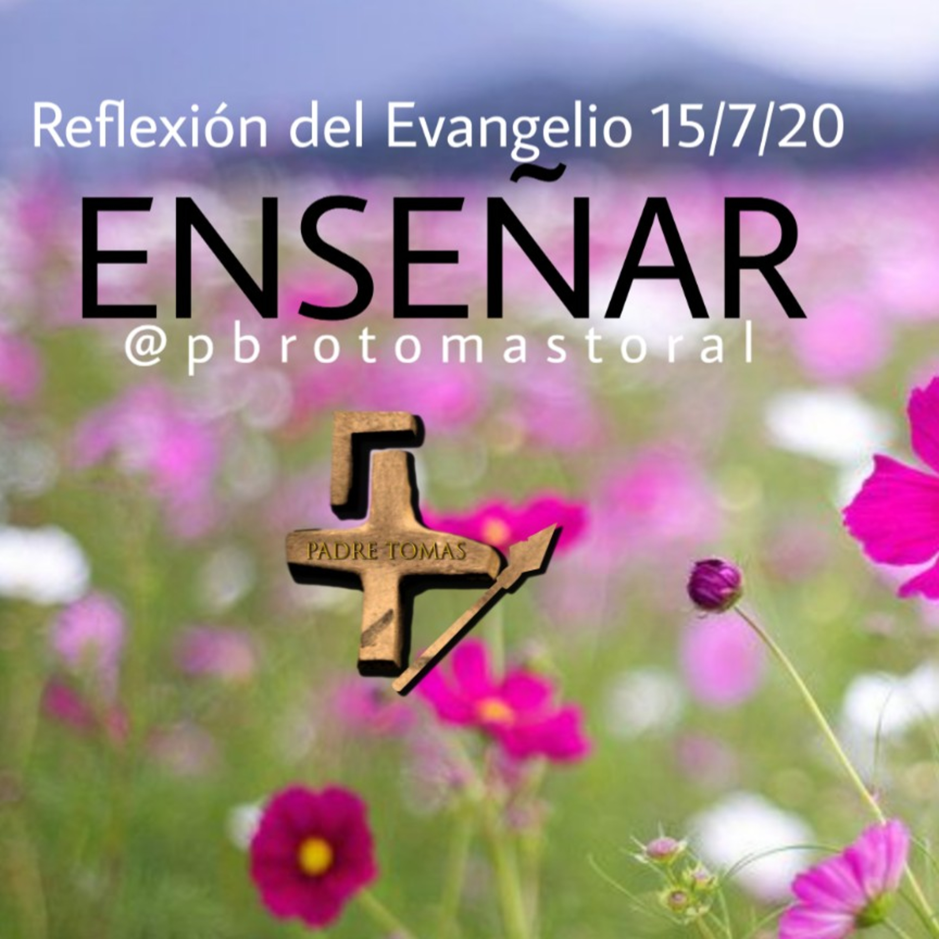 Diócesis de Cuernavaca