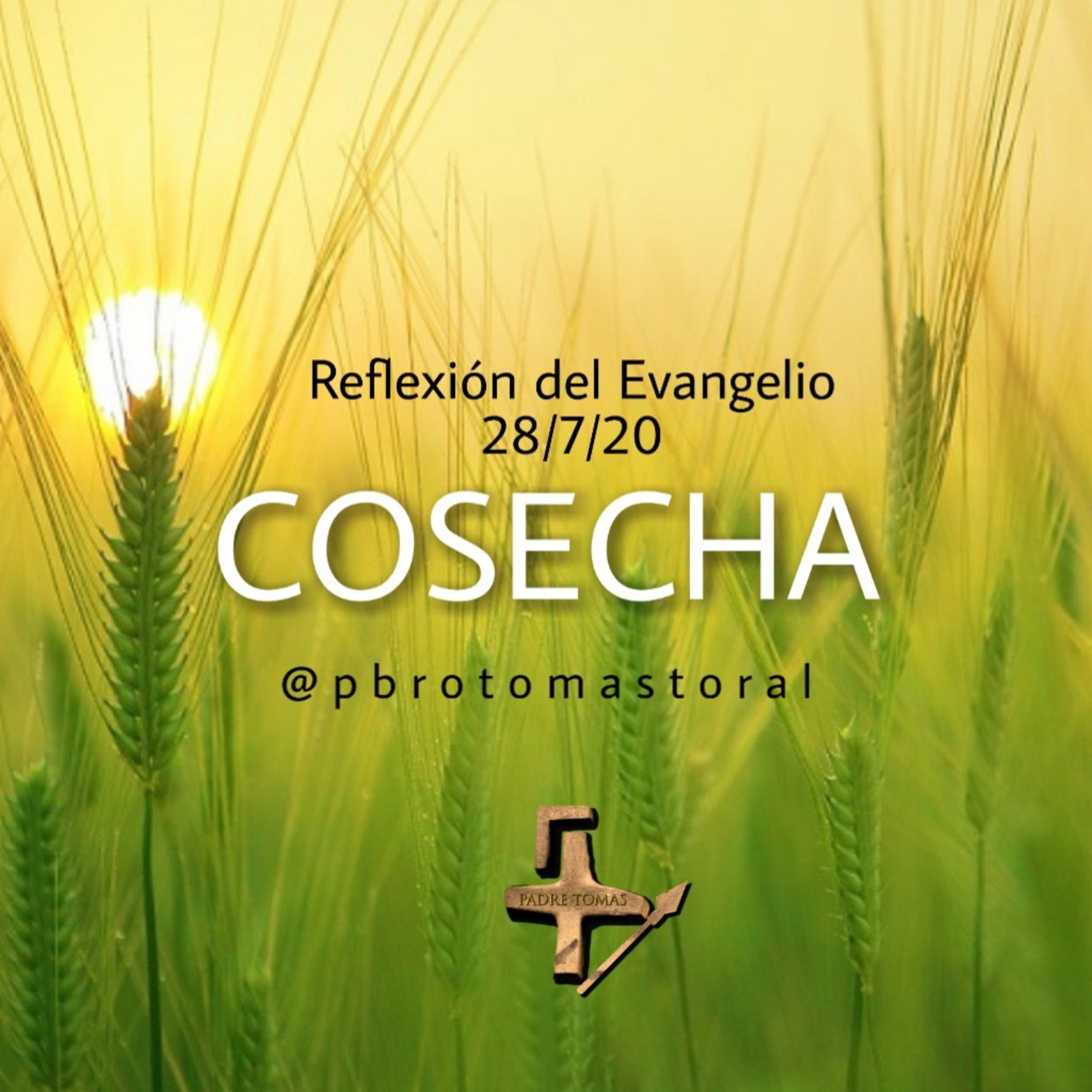 Diócesis de Cuernavaca