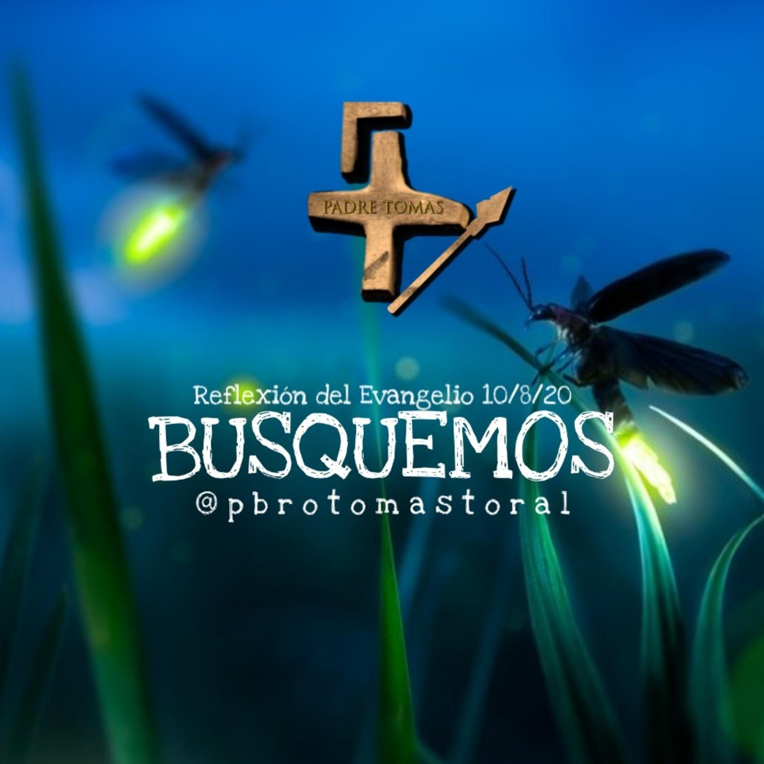 Diócesis de Cuernavaca