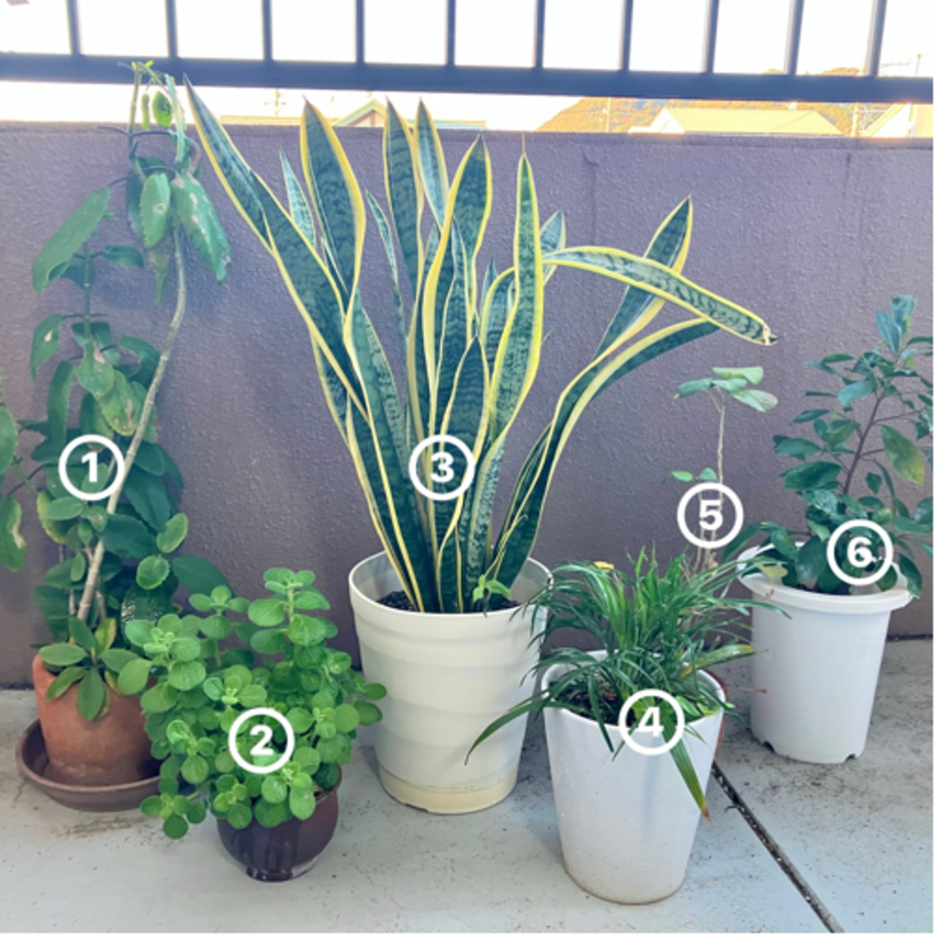 #2「まずは黙ってヒストリーを聞け」