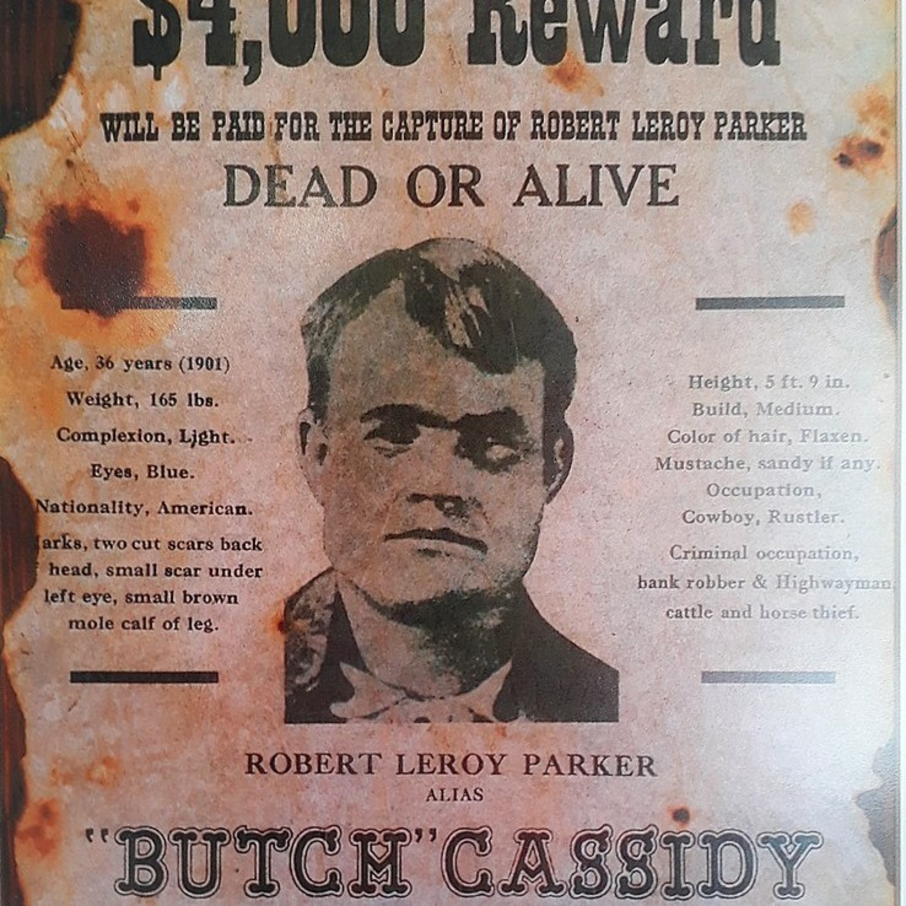 History Loves Company