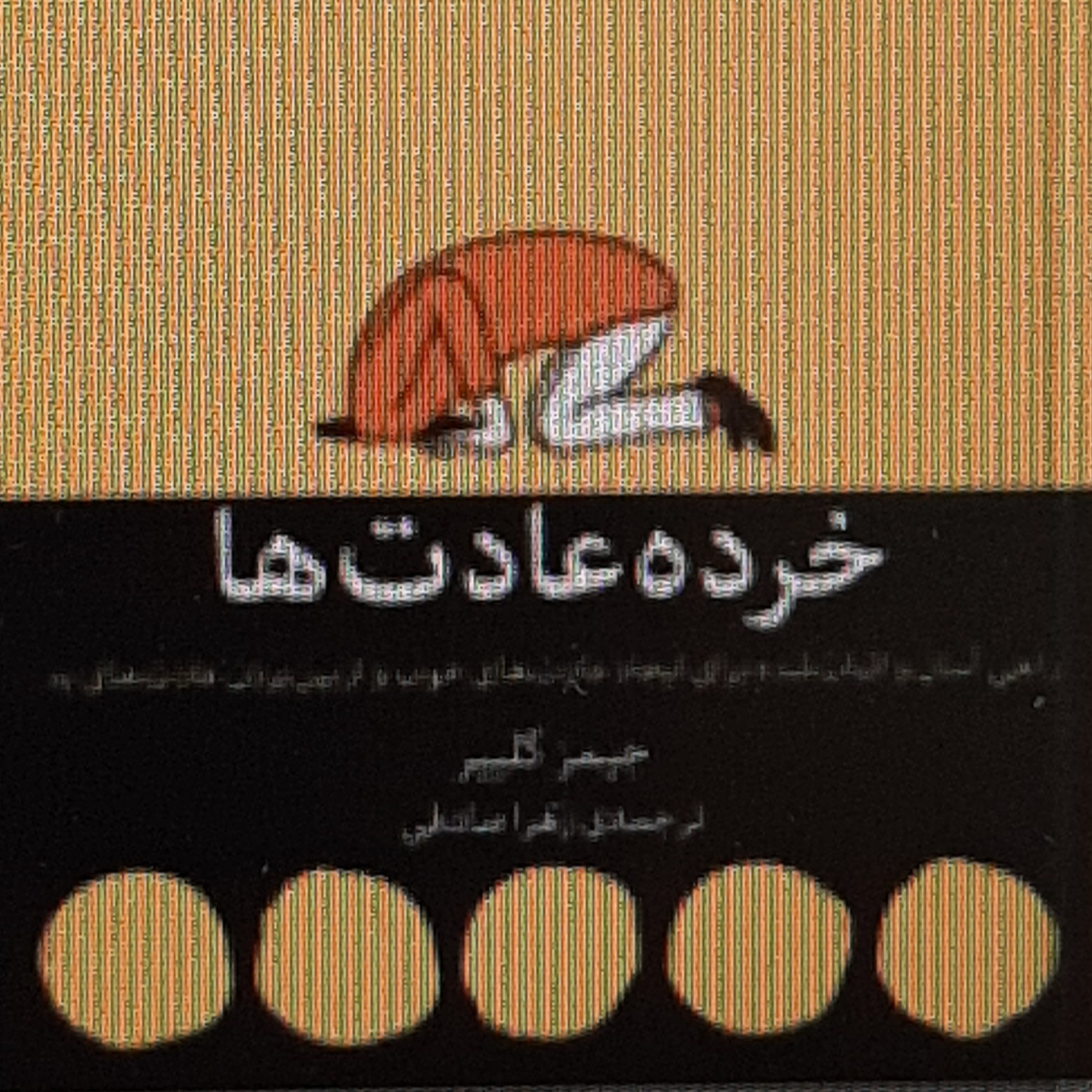 خرده عادت ها. اهداف را فراموش کنید و به جای ان بر سیستم تمرکز کنید .