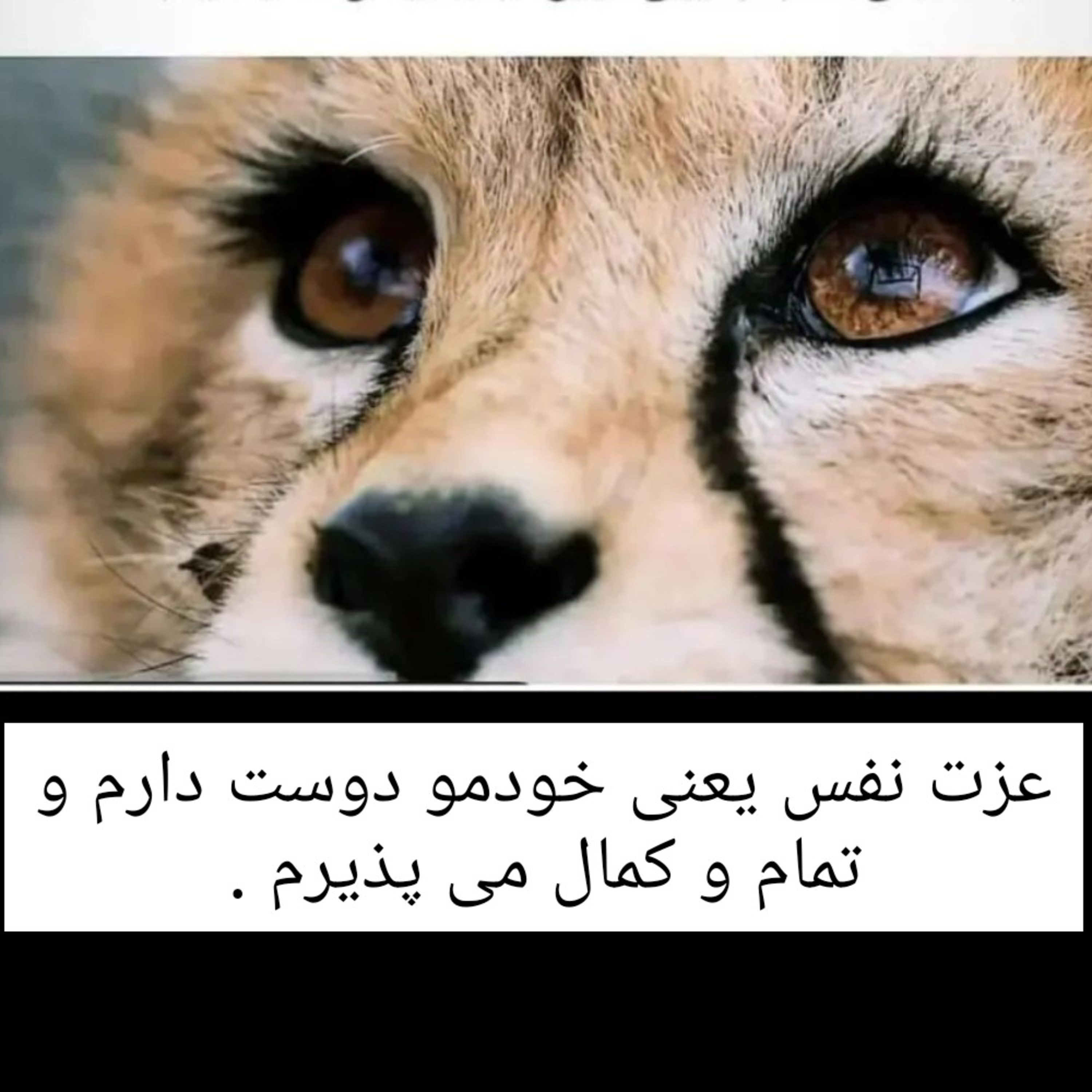 عزت نفس بهت کمک میکنه دریکپارچگی زندگی کنی .