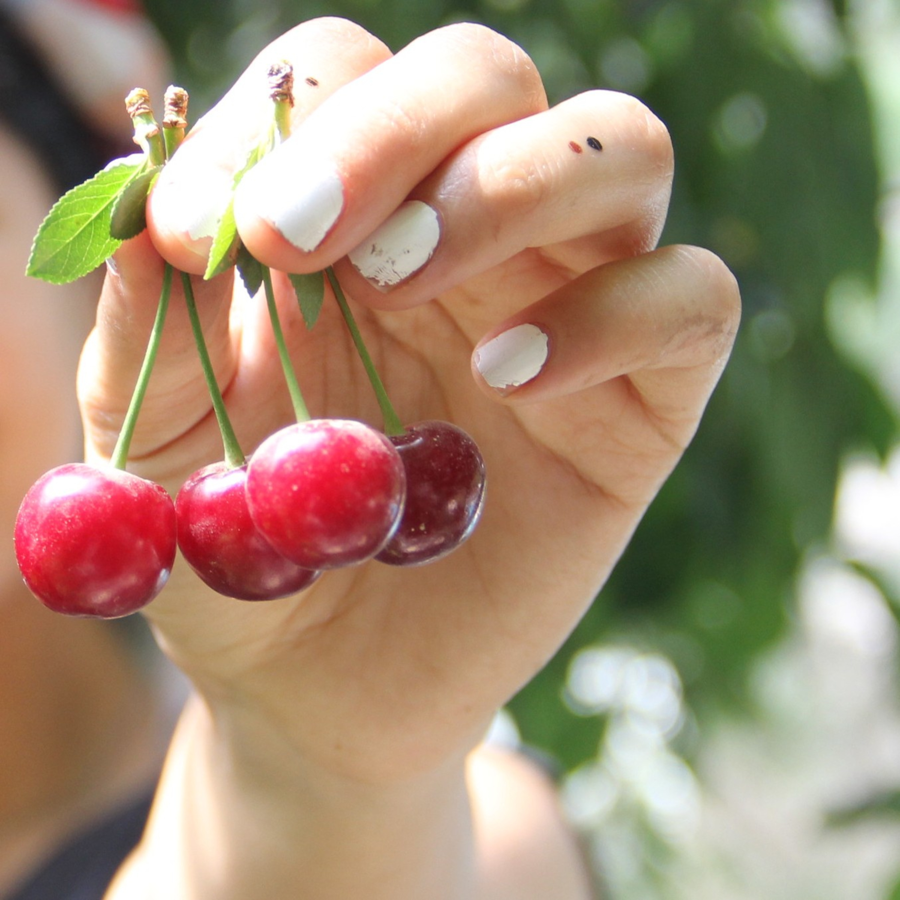 آیا حق دارم احساس پشیمانی کنم ؟