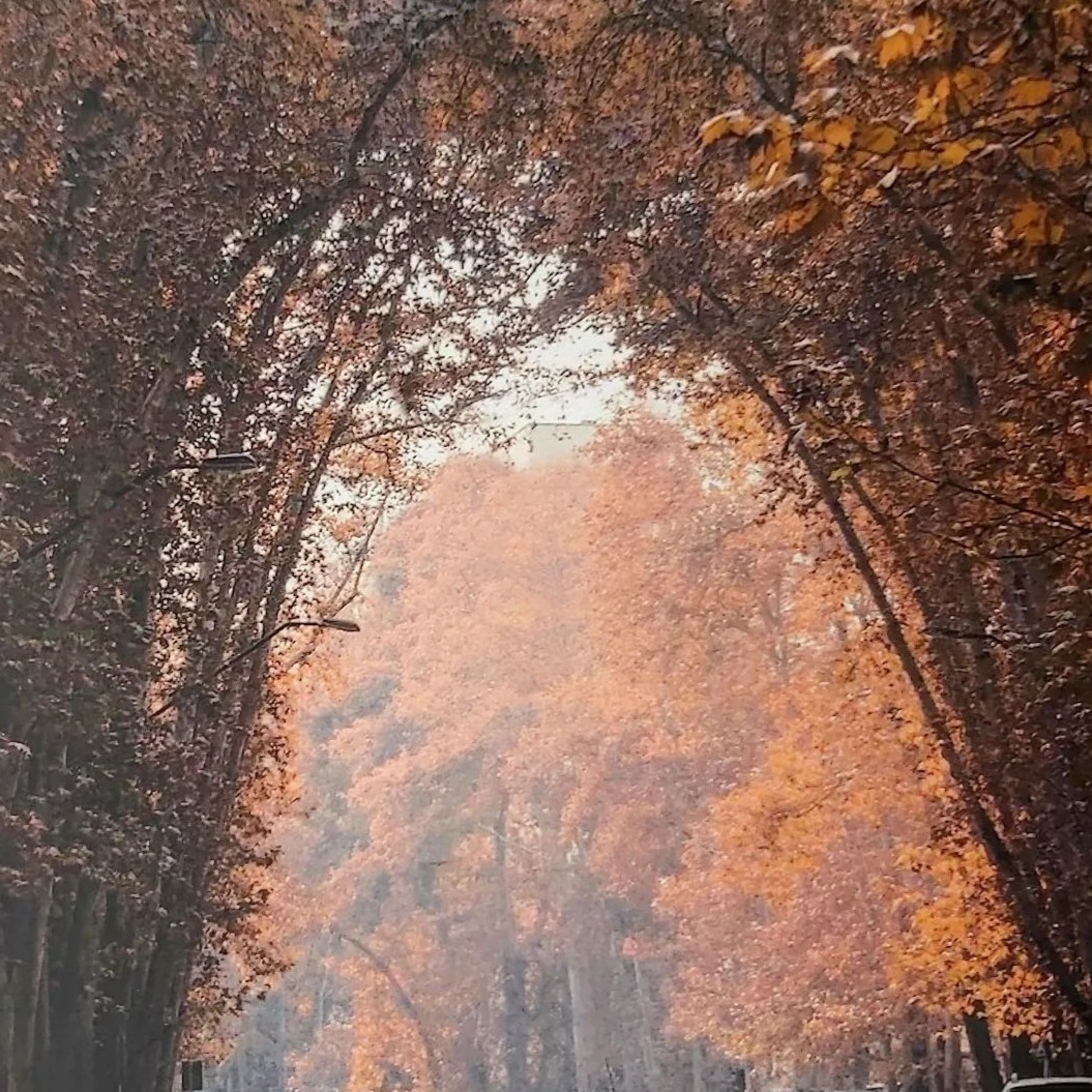 تکنیک صفحه نمایش ذهنی برای خلق اهداف