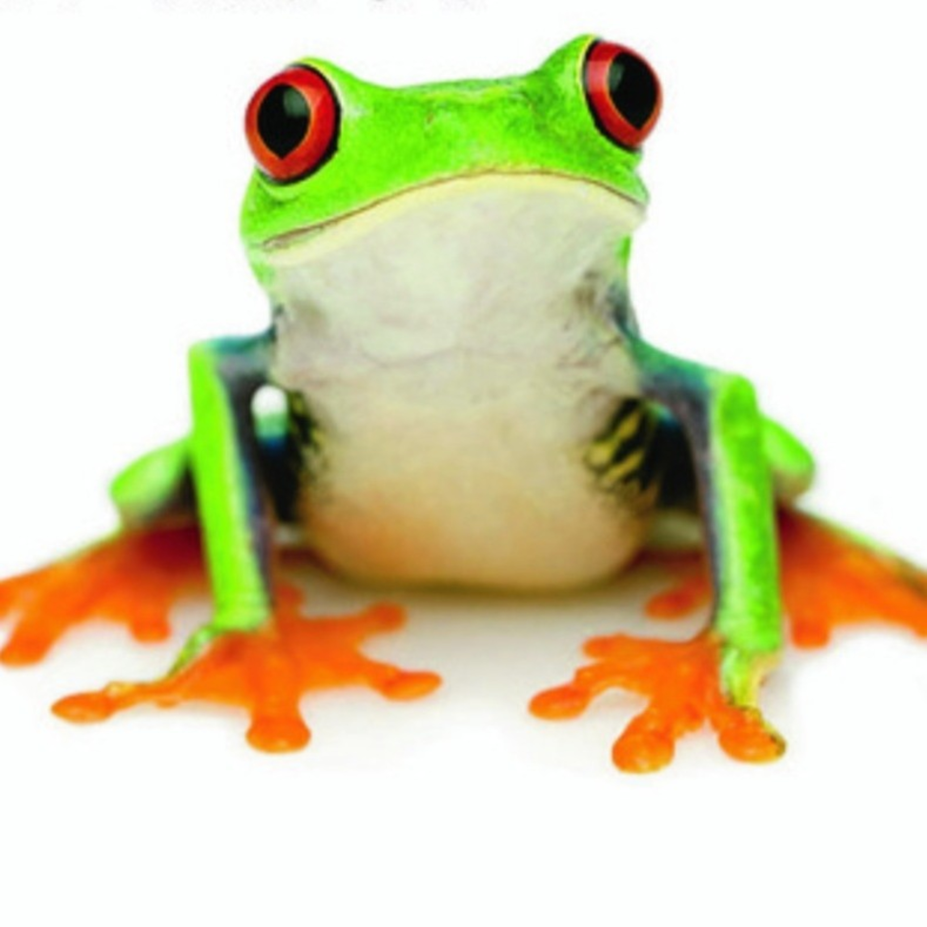 مارک تواین و خوردن قورباغه زنده