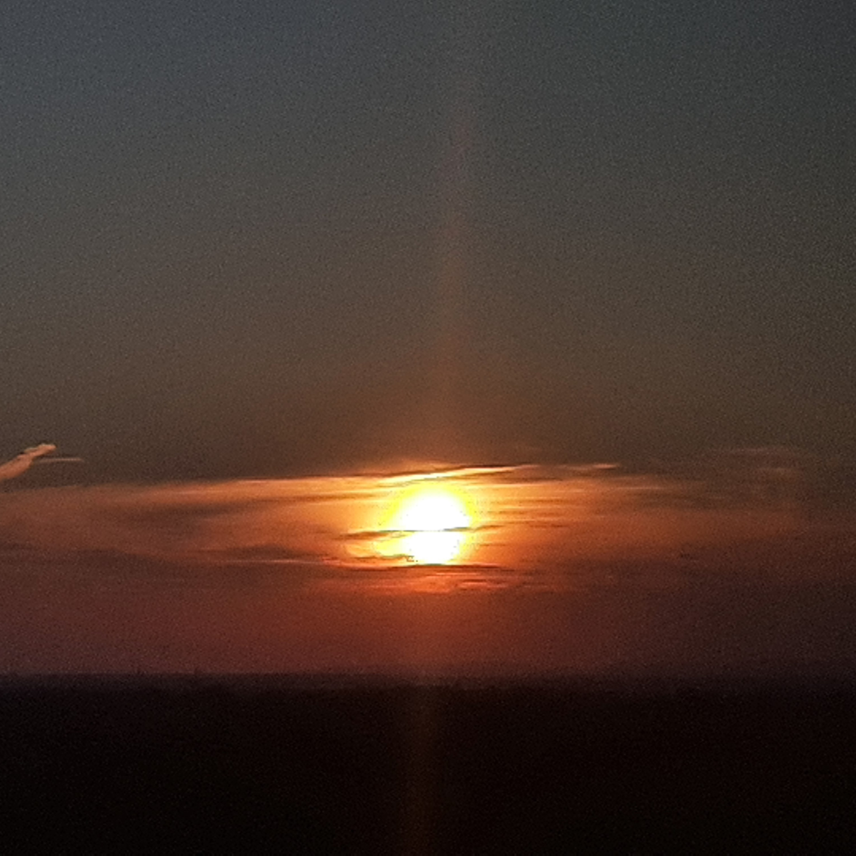 معنی حقیقی زندگی در لحظه حال