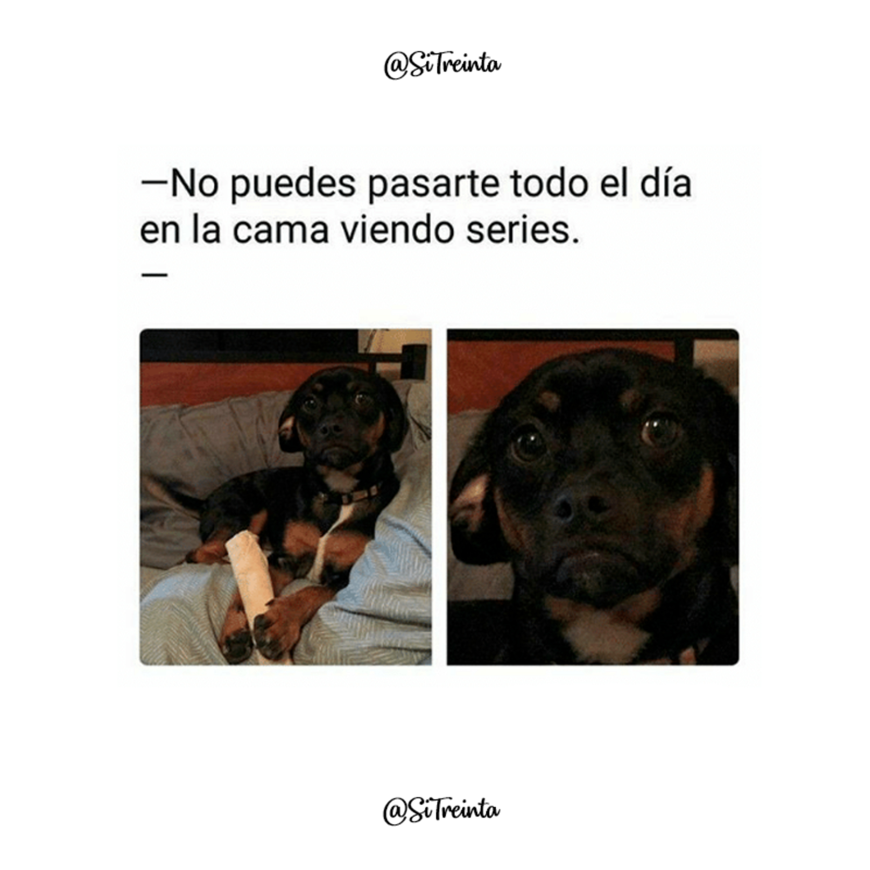 Mujeres Al Vino