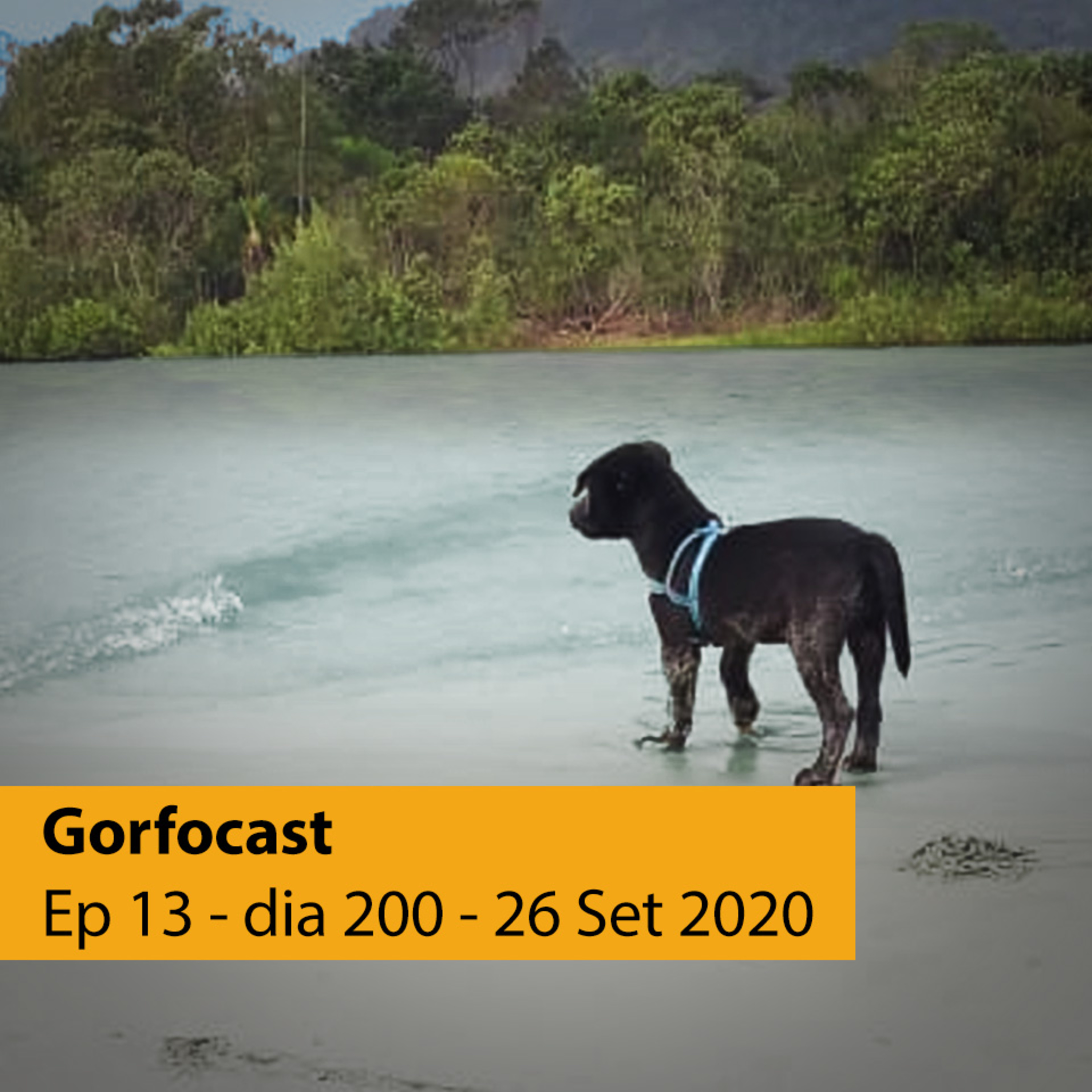 Gorfocast