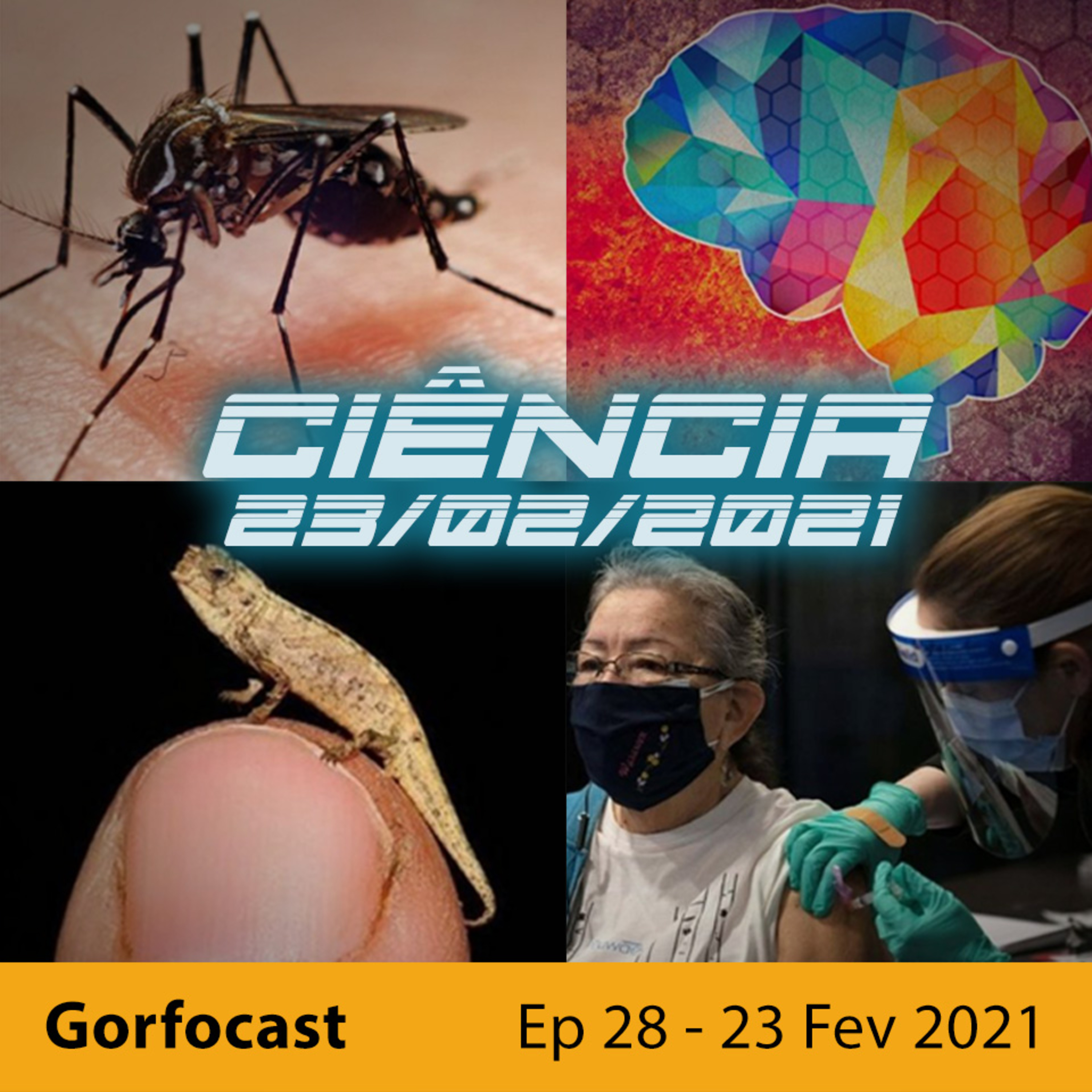 Gorfocast