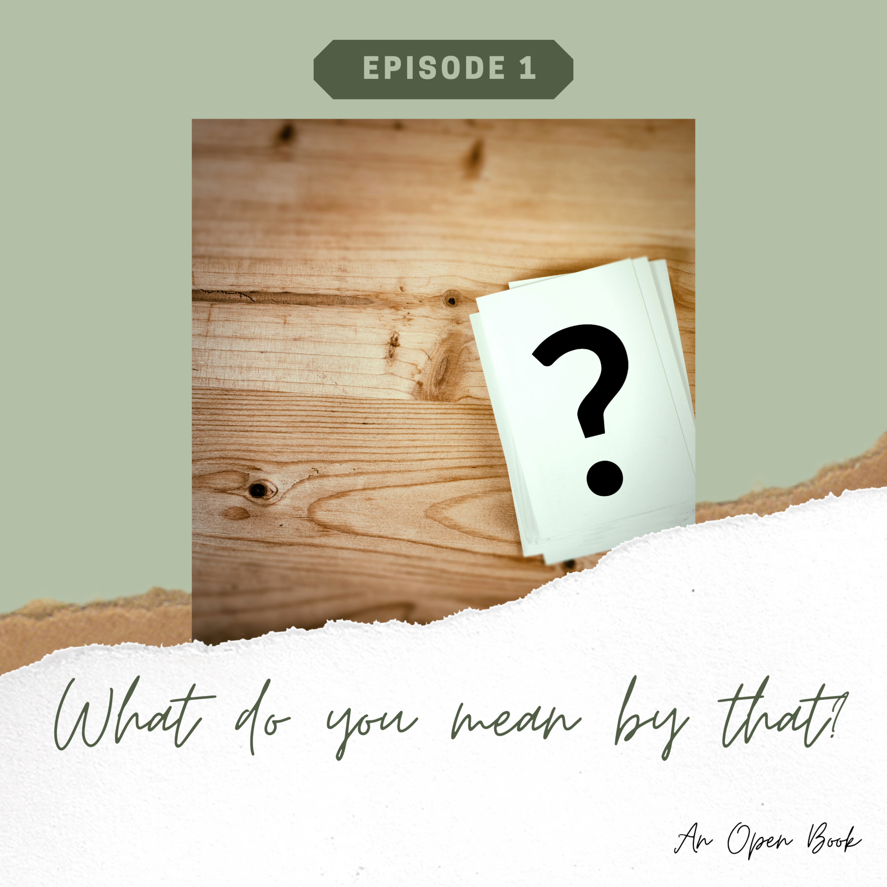 What Do You Mean By That? episode artwork