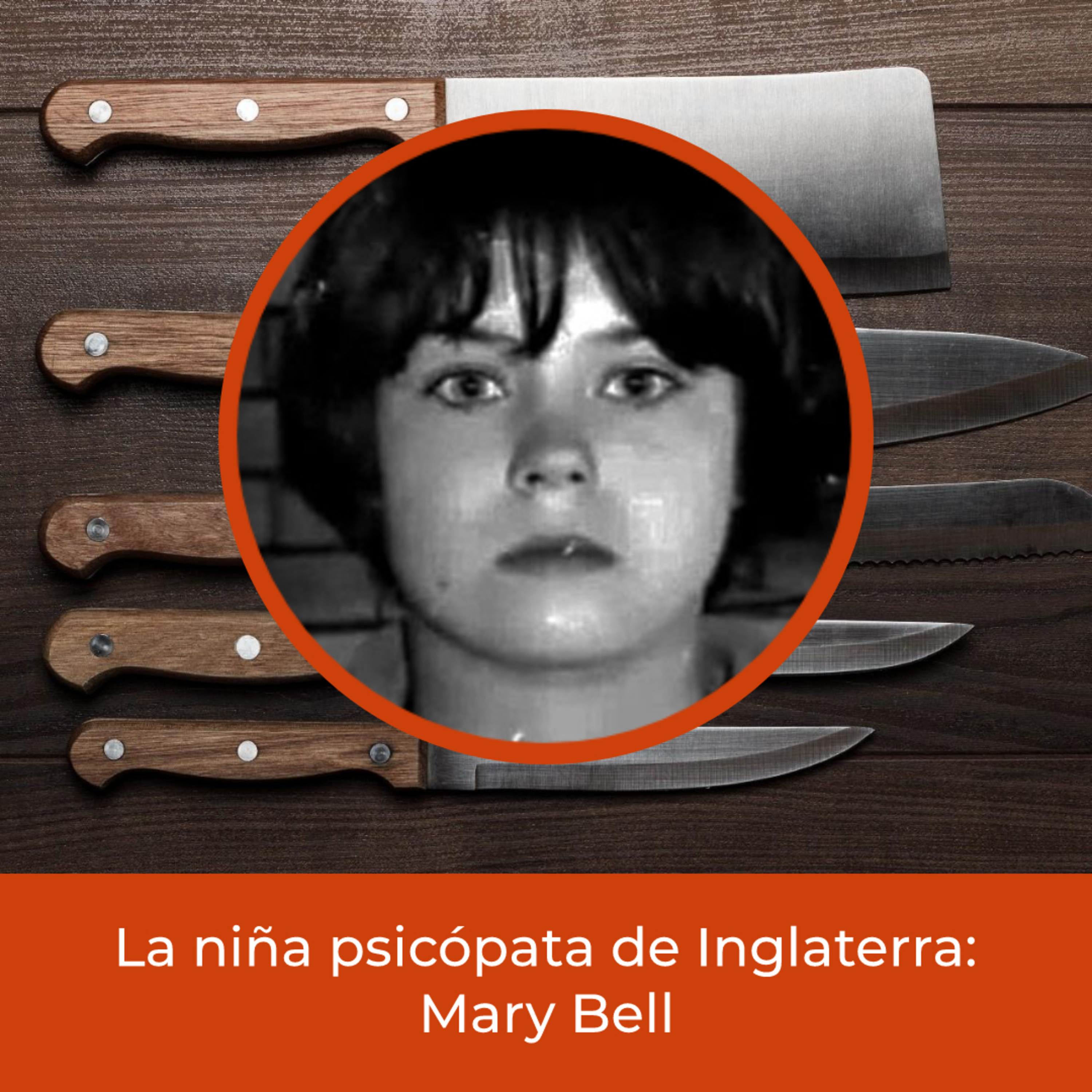 Crímenes Del Mundo
