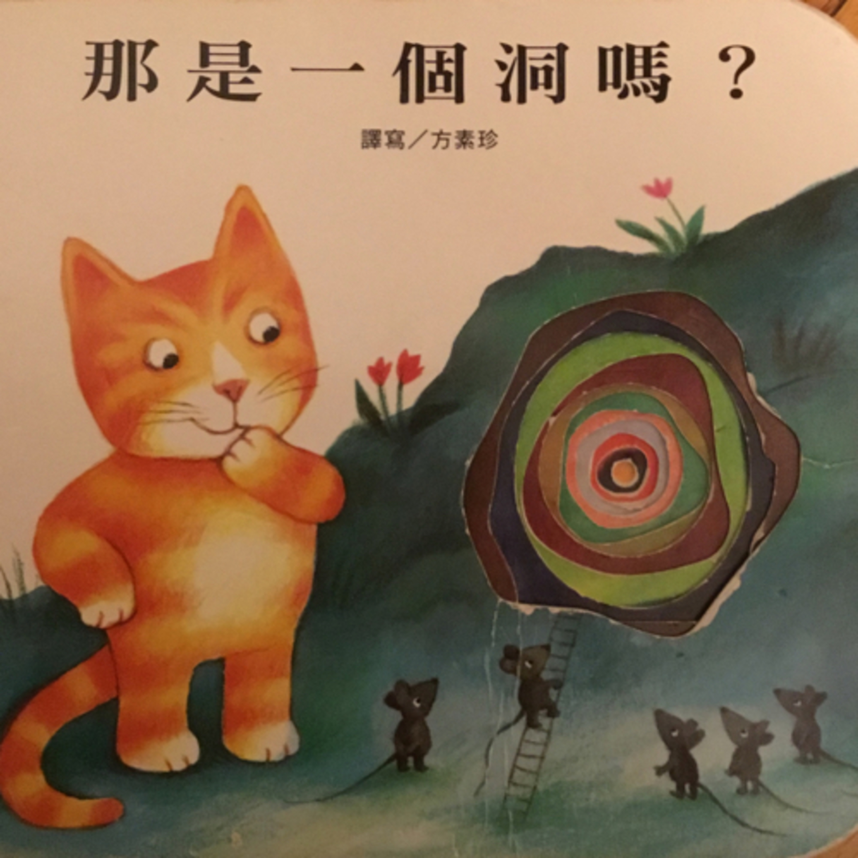 那是一個洞嗎? Guarda, C’e un buco