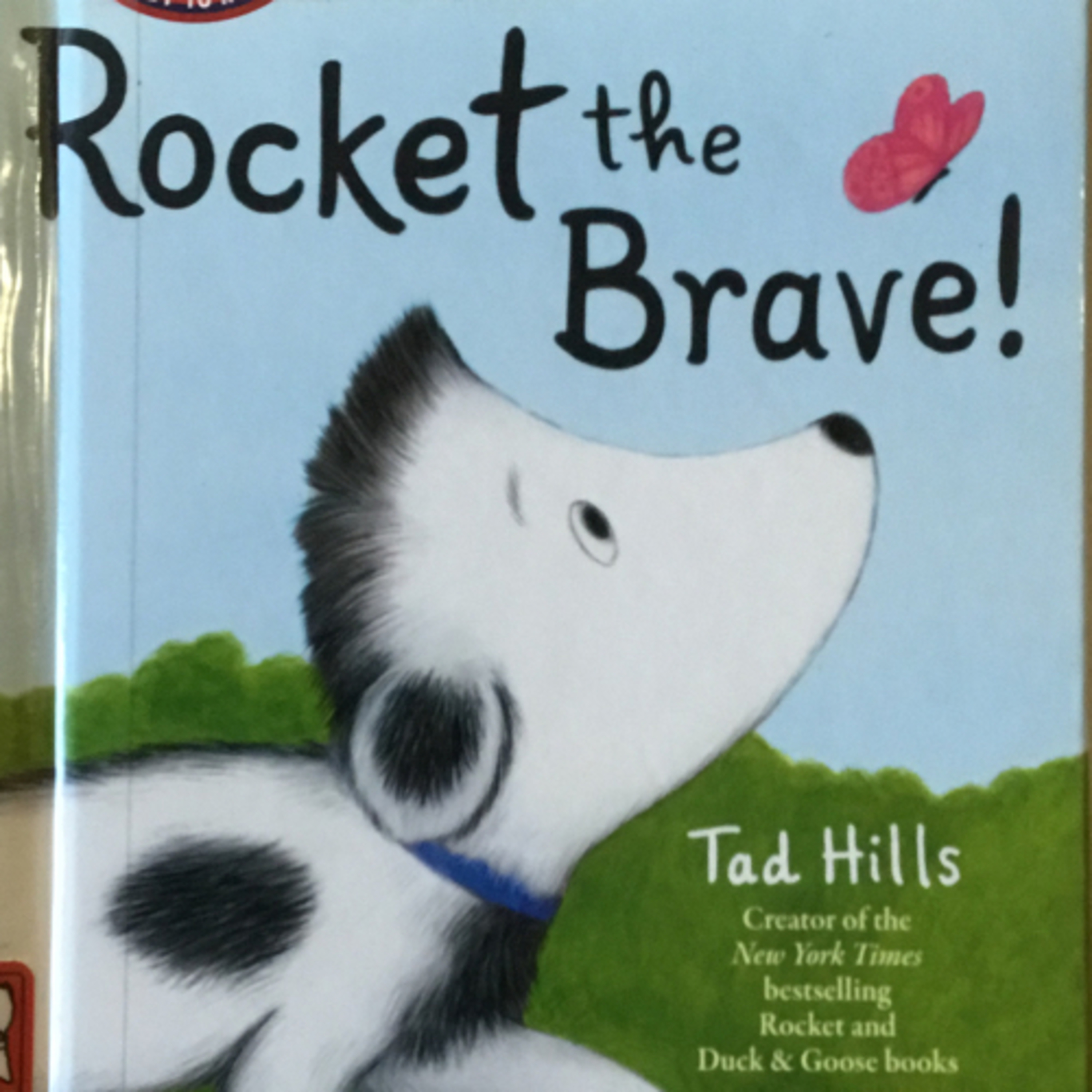 Rocket the Brave!