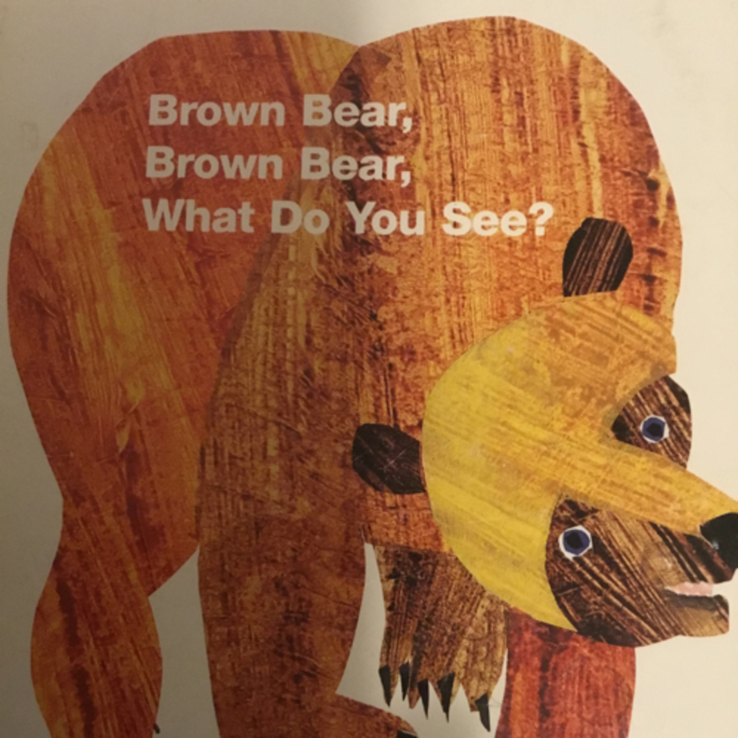 Brown Bear What Do You See?