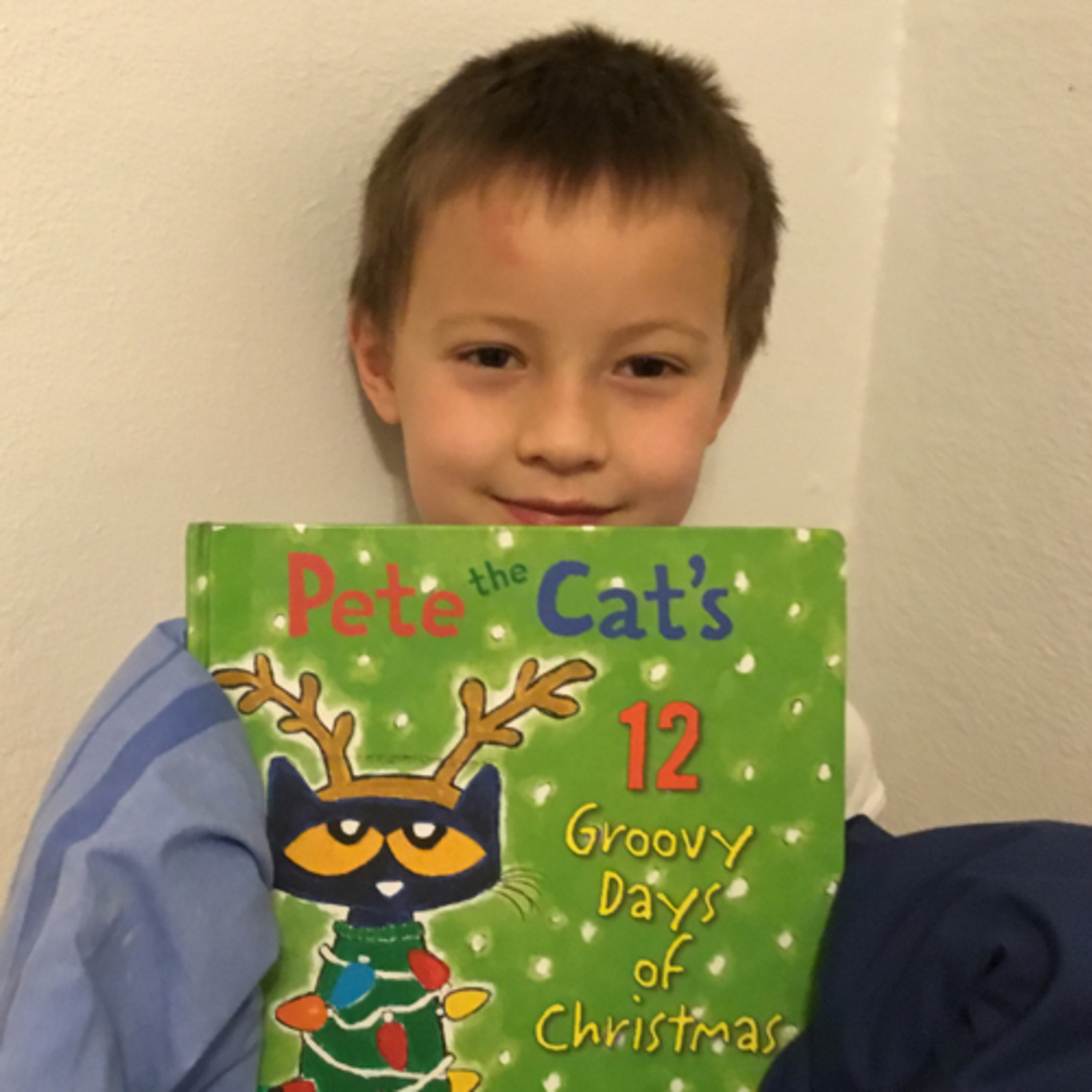 Pete the Cats 12 GROOVY day of Christmas