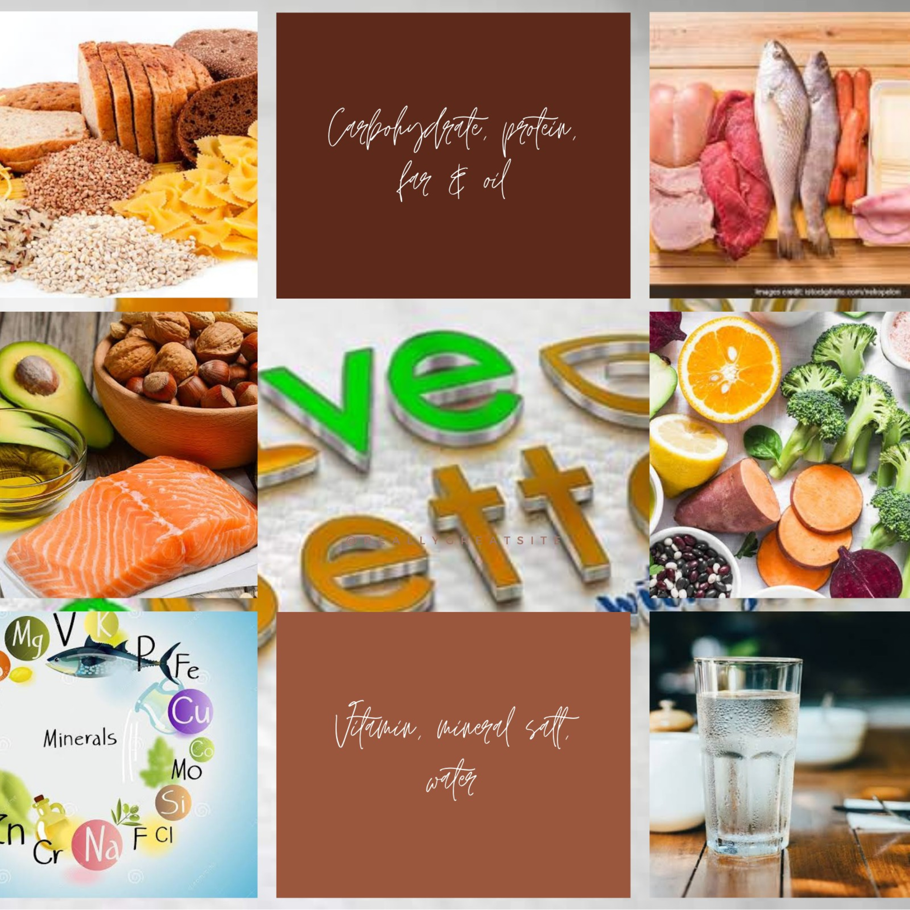 Balanced Diet episode artwork