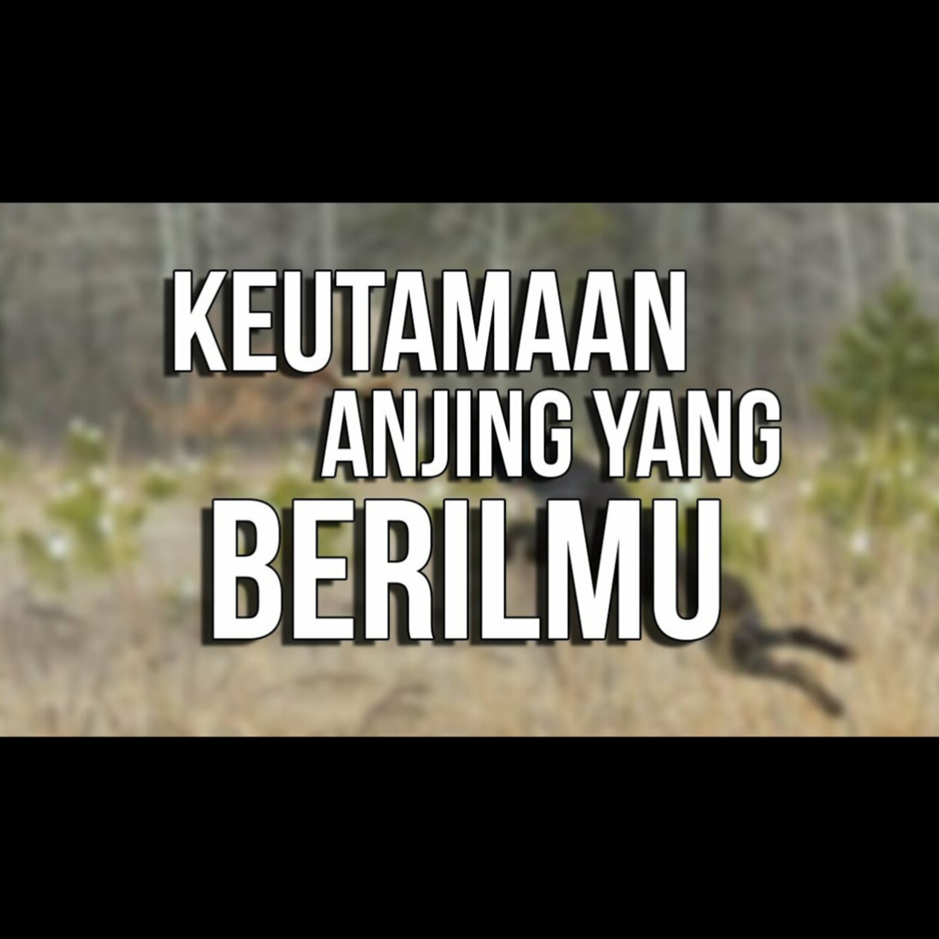 Anjing yang Memiliki Ilmu pun Punya Keutamaan - Ustadz Oemar Mita episode artwork