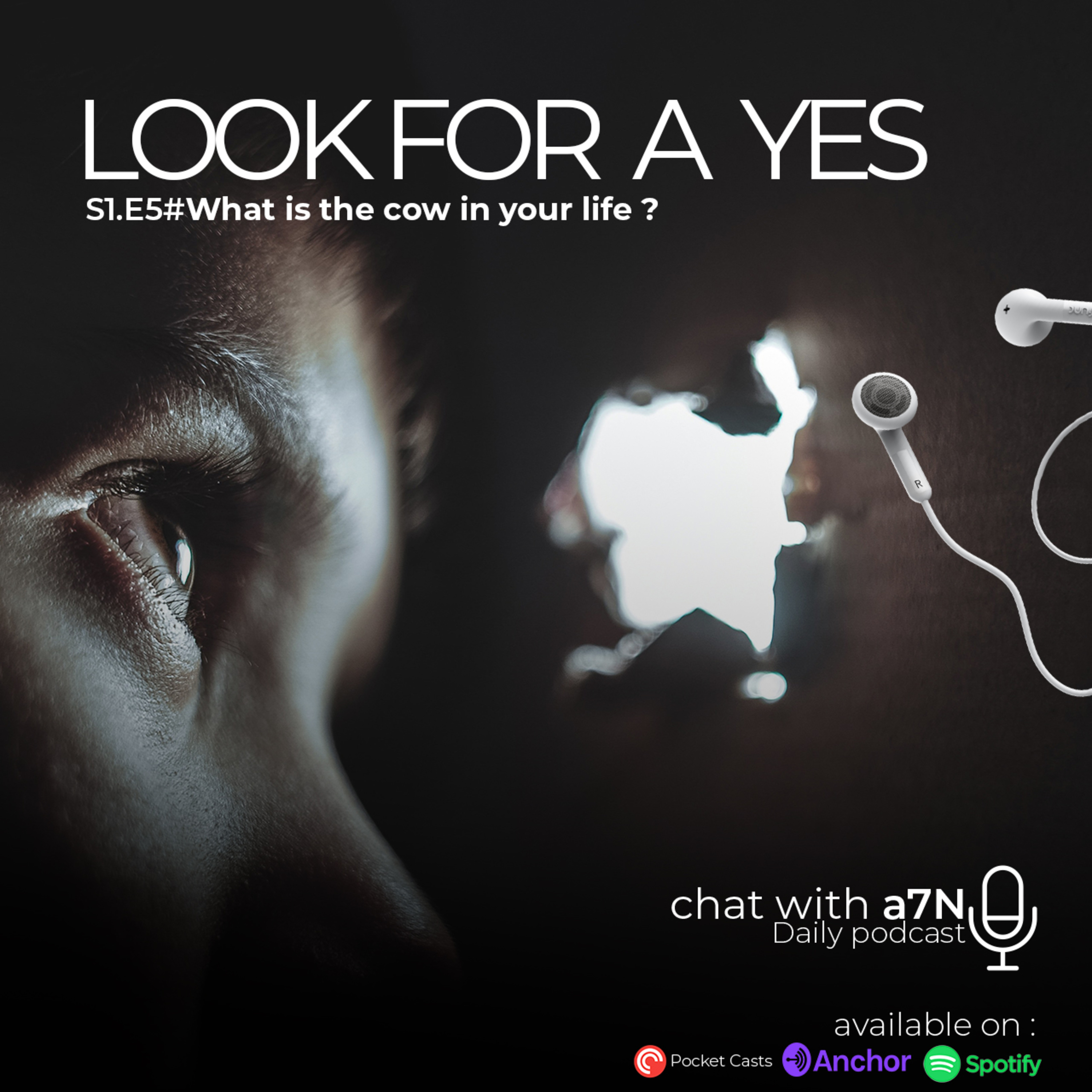 Chat With a7N