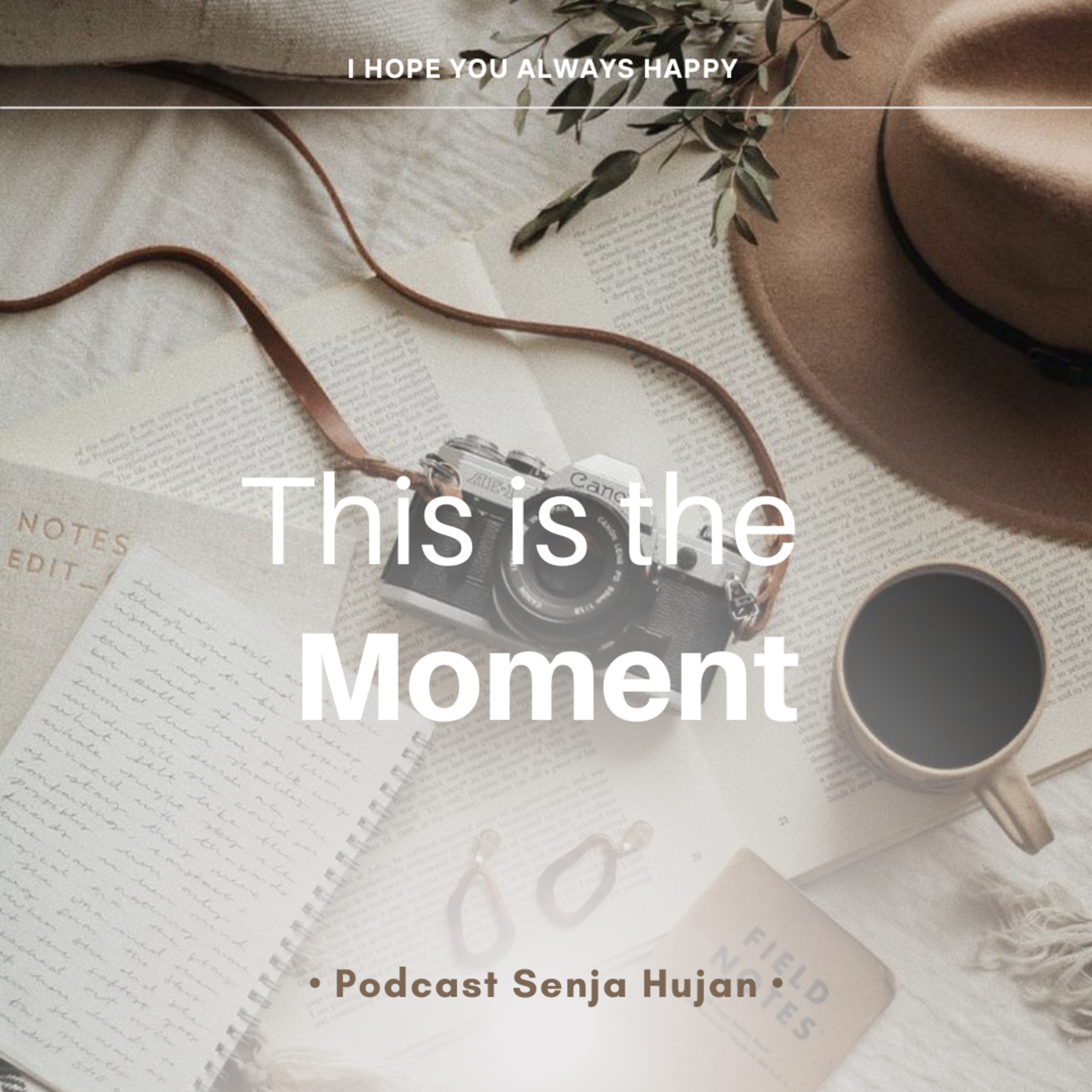 Moment  episode artwork