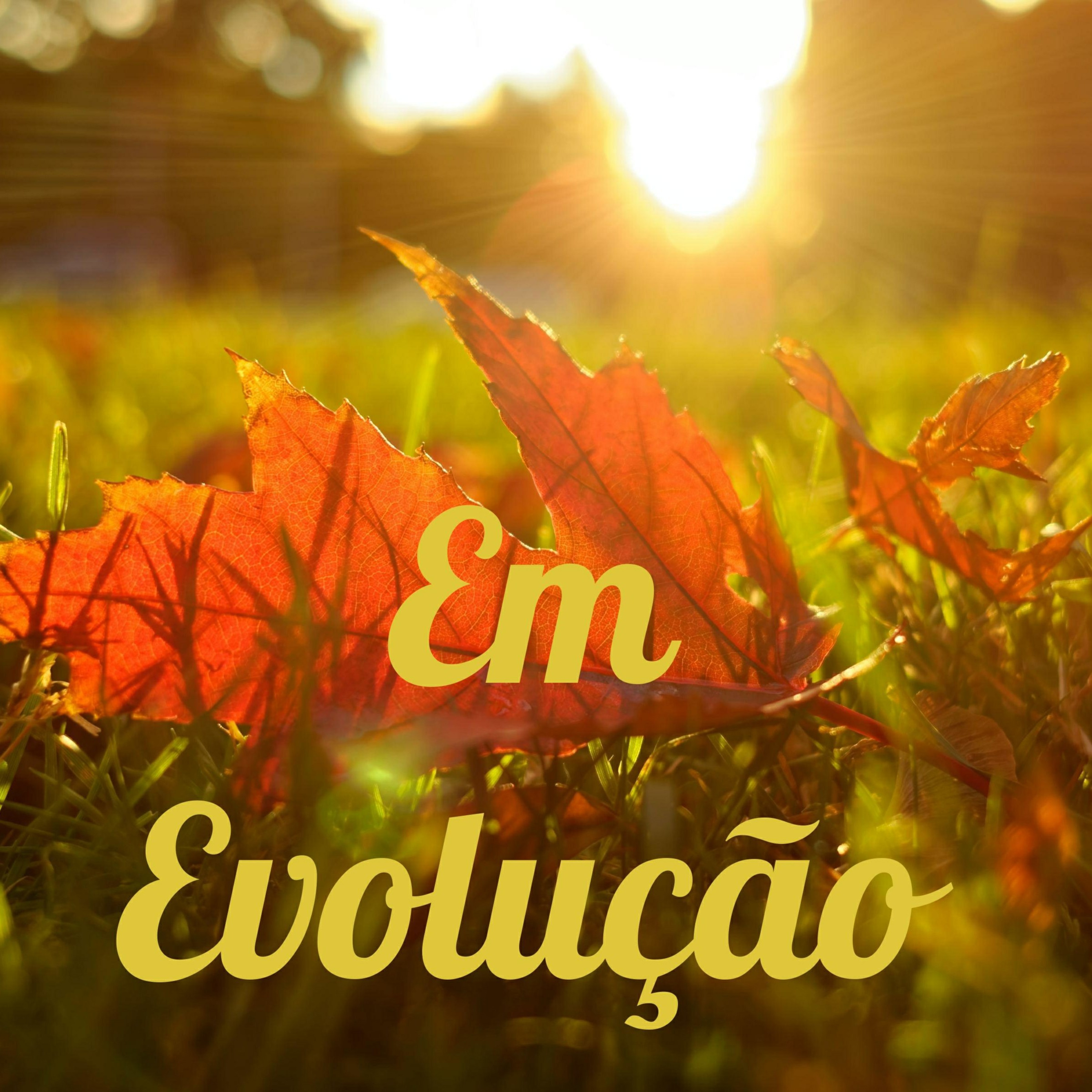 Em Evolução
