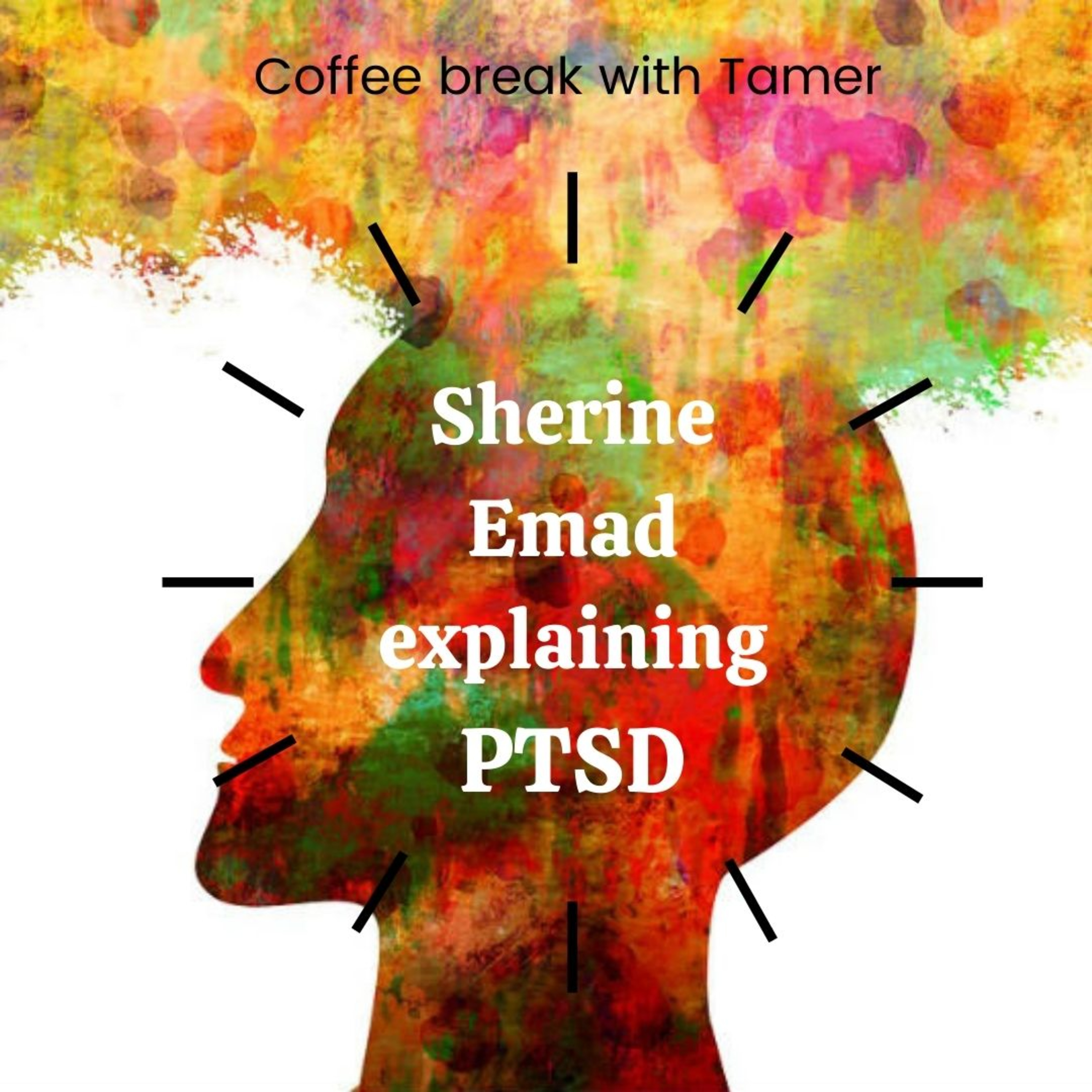 Coffee break with Tamer
