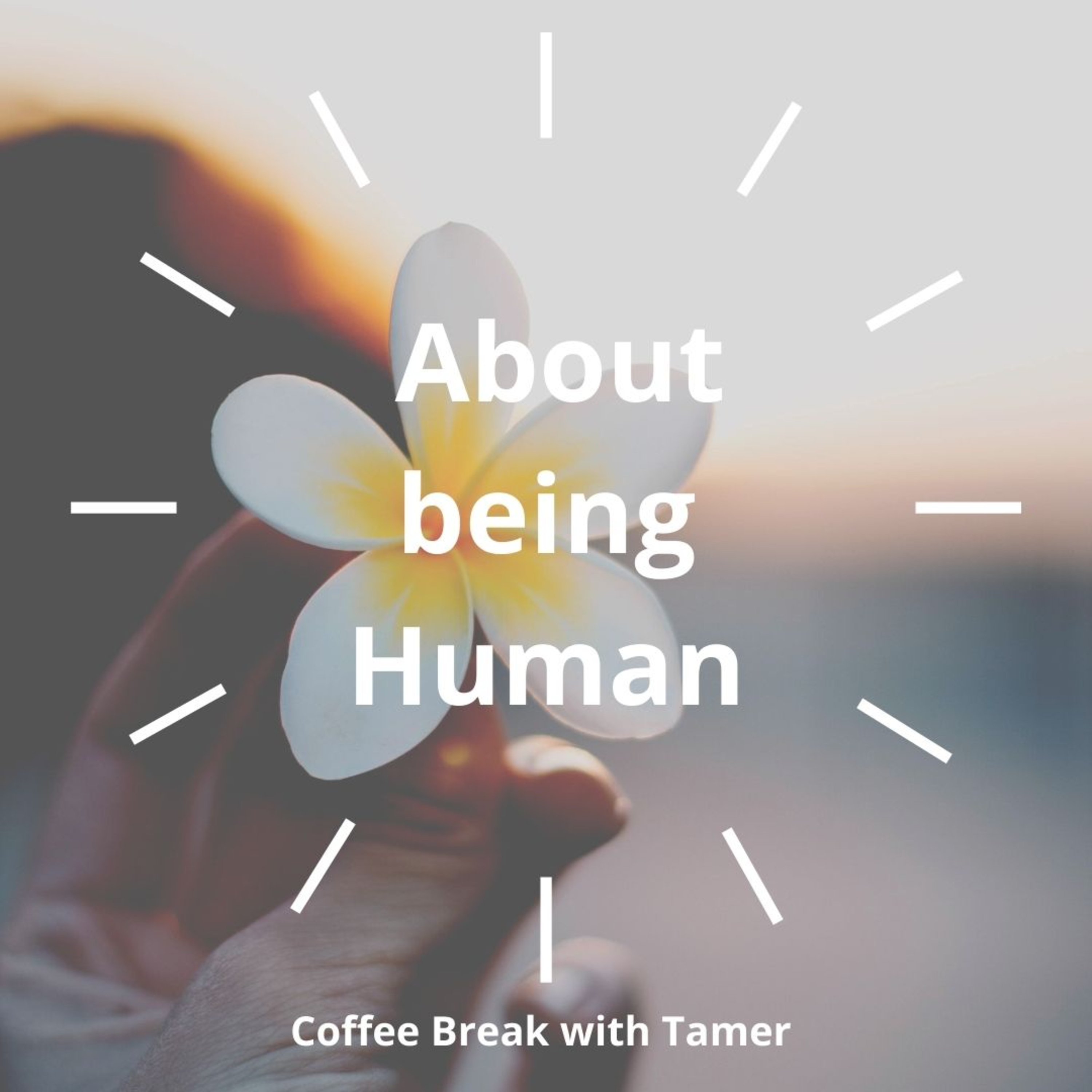 Coffee break with Tamer