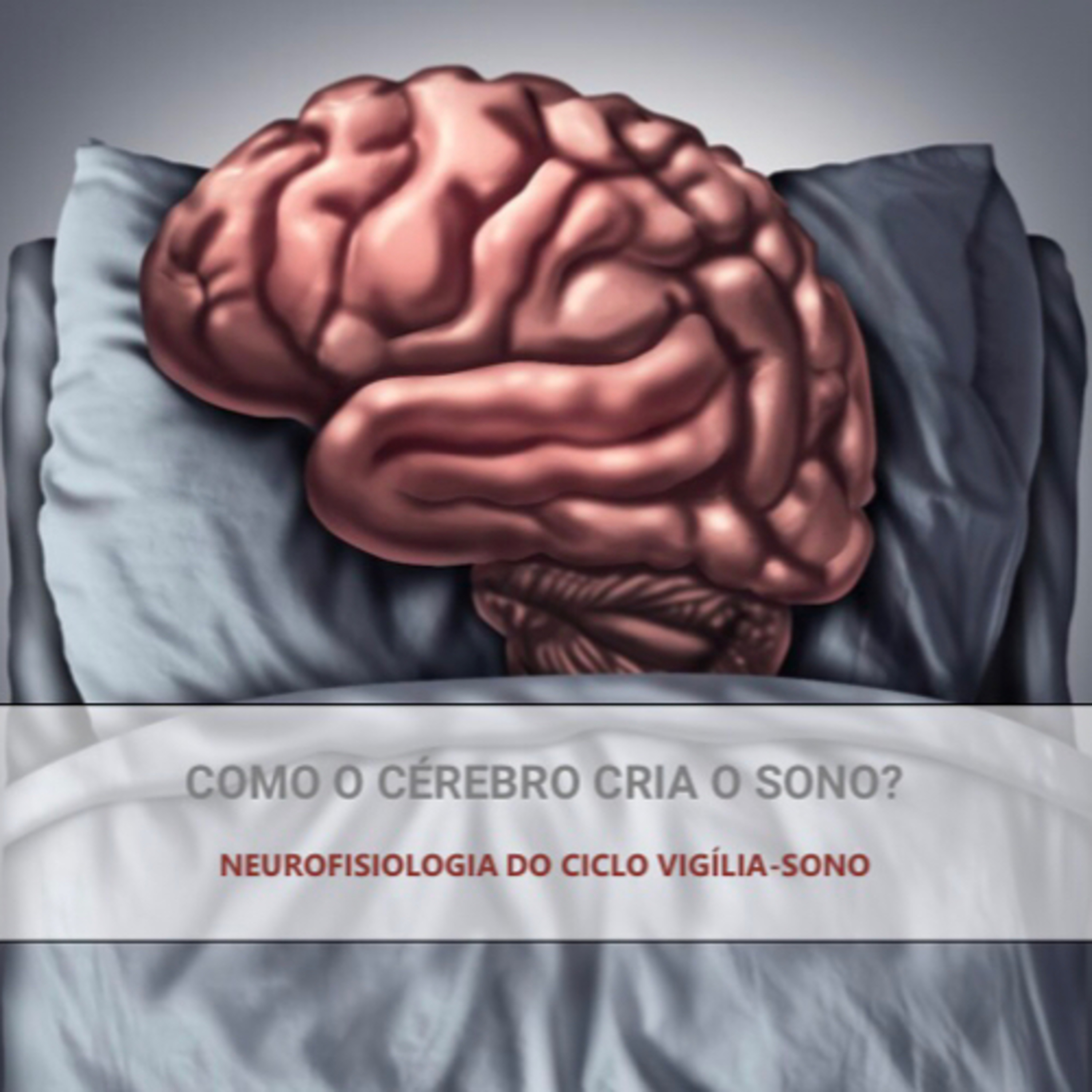 O cérebro e a ciência