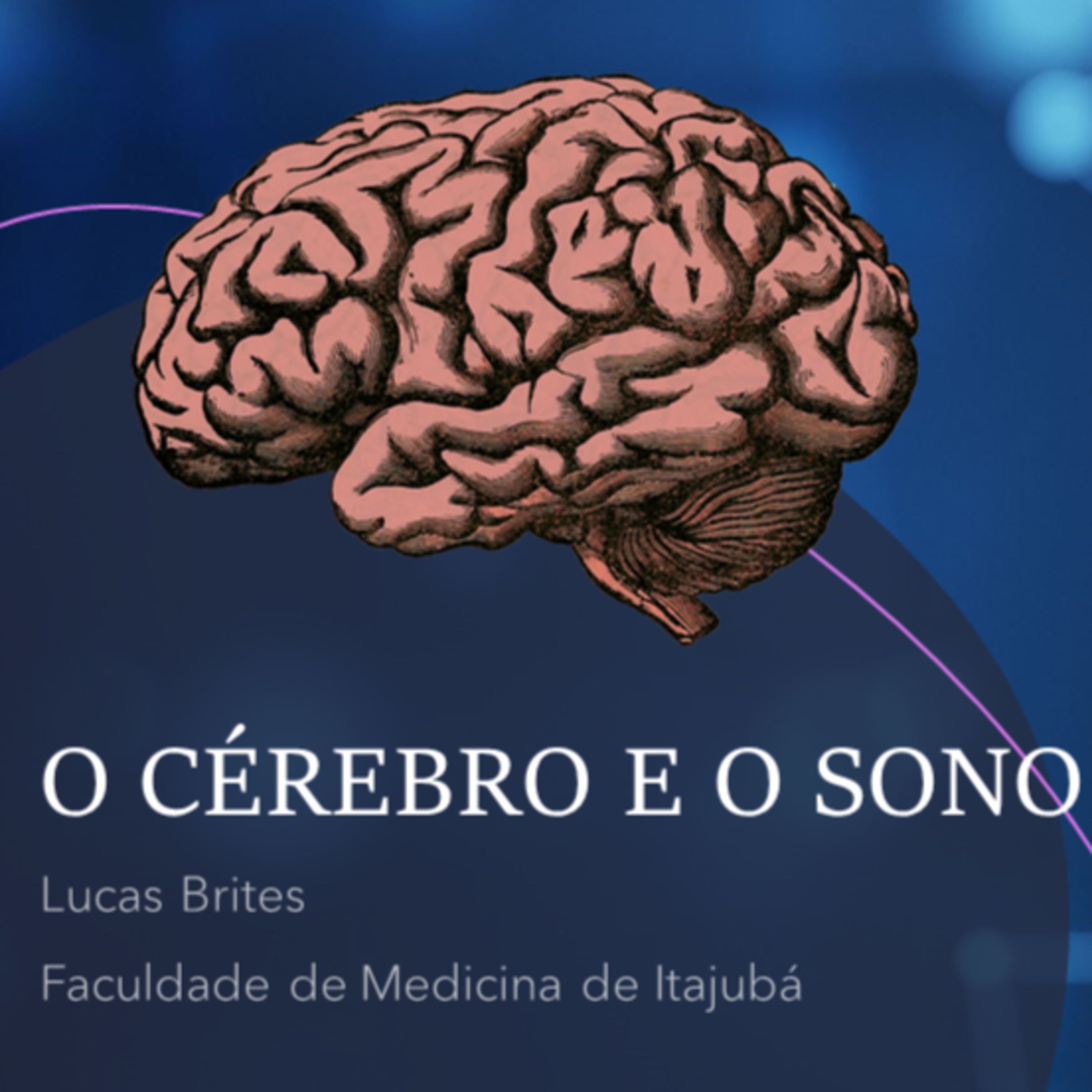O cérebro e a ciência