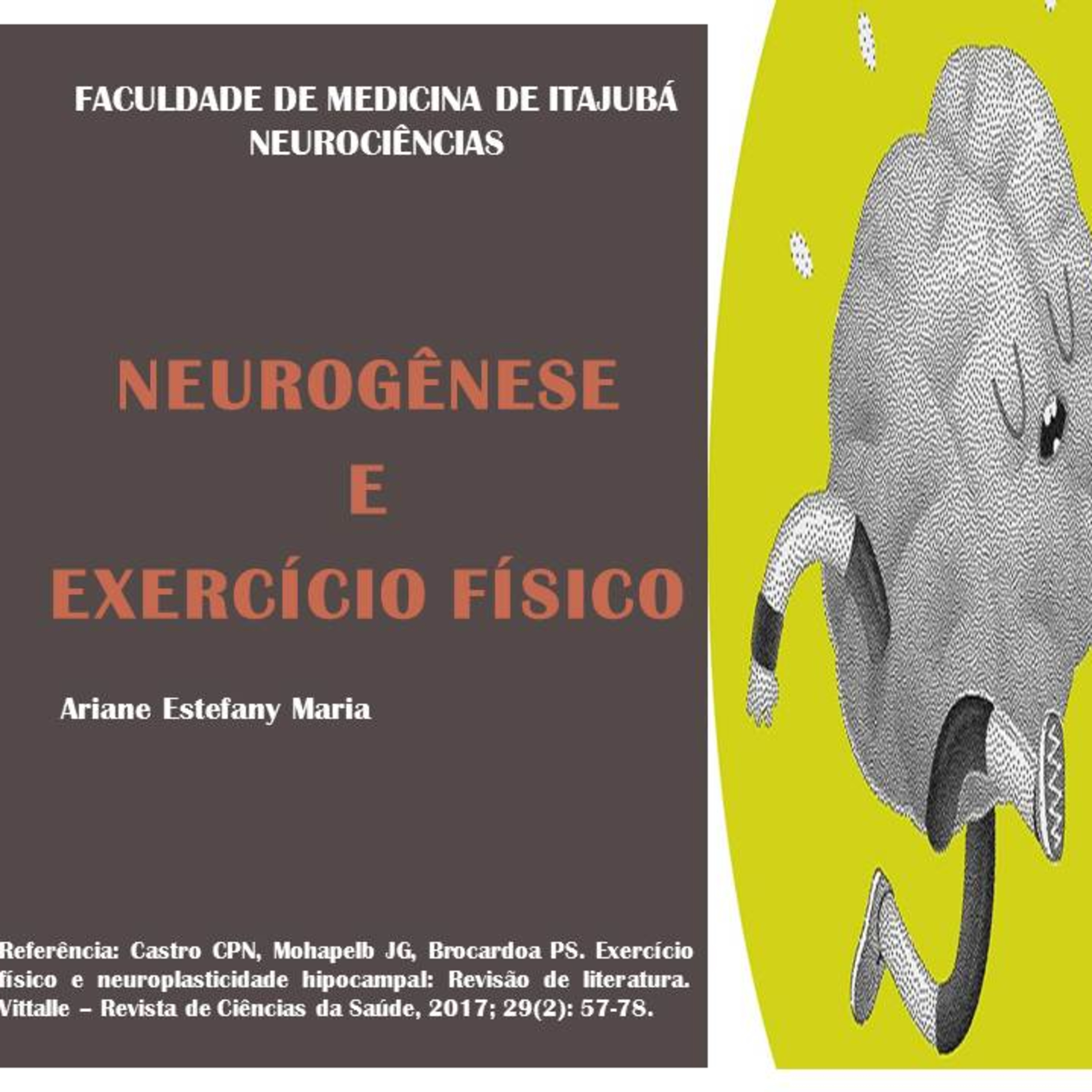O cérebro e a ciência