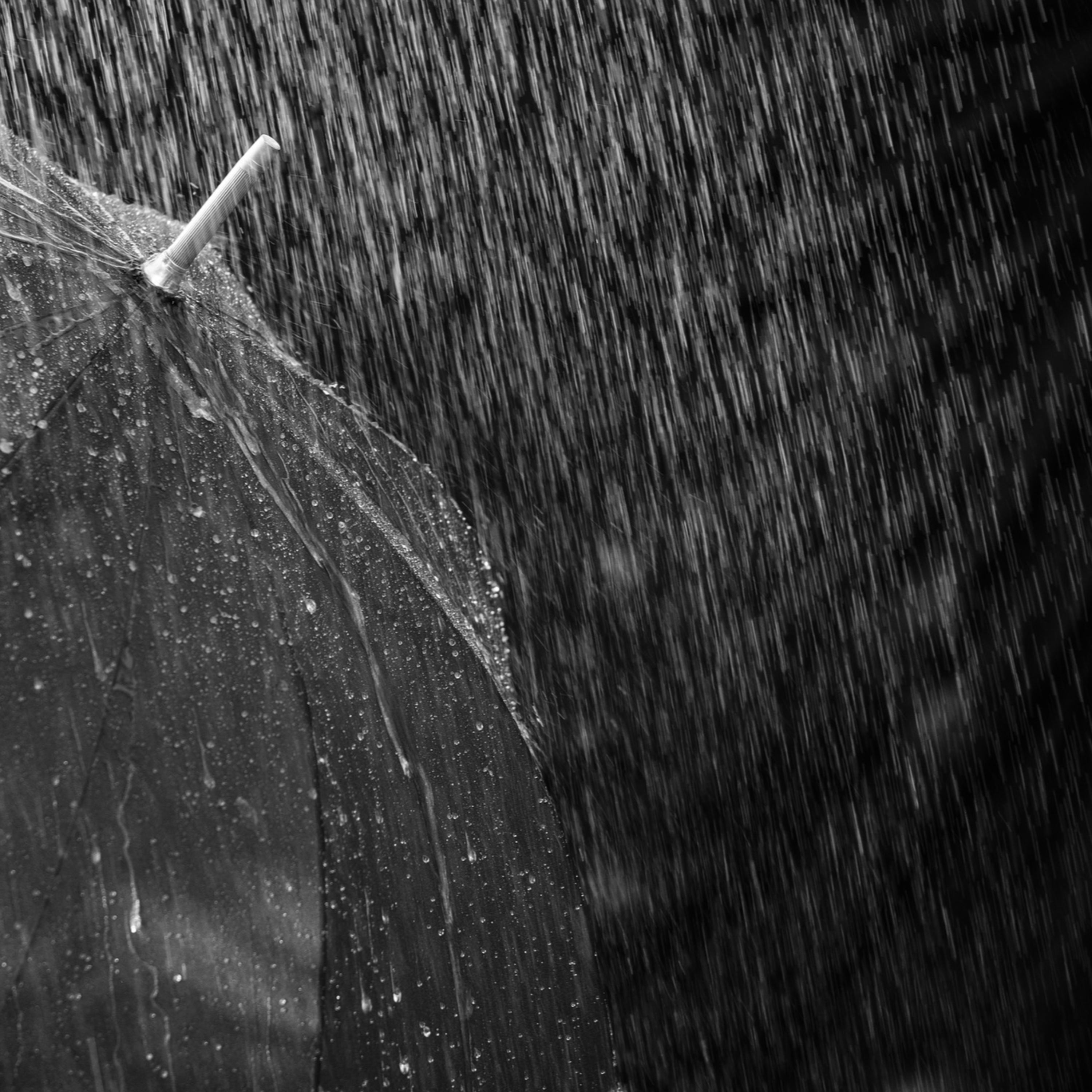 #lerateondepuder - Contos, poesias e resenhas