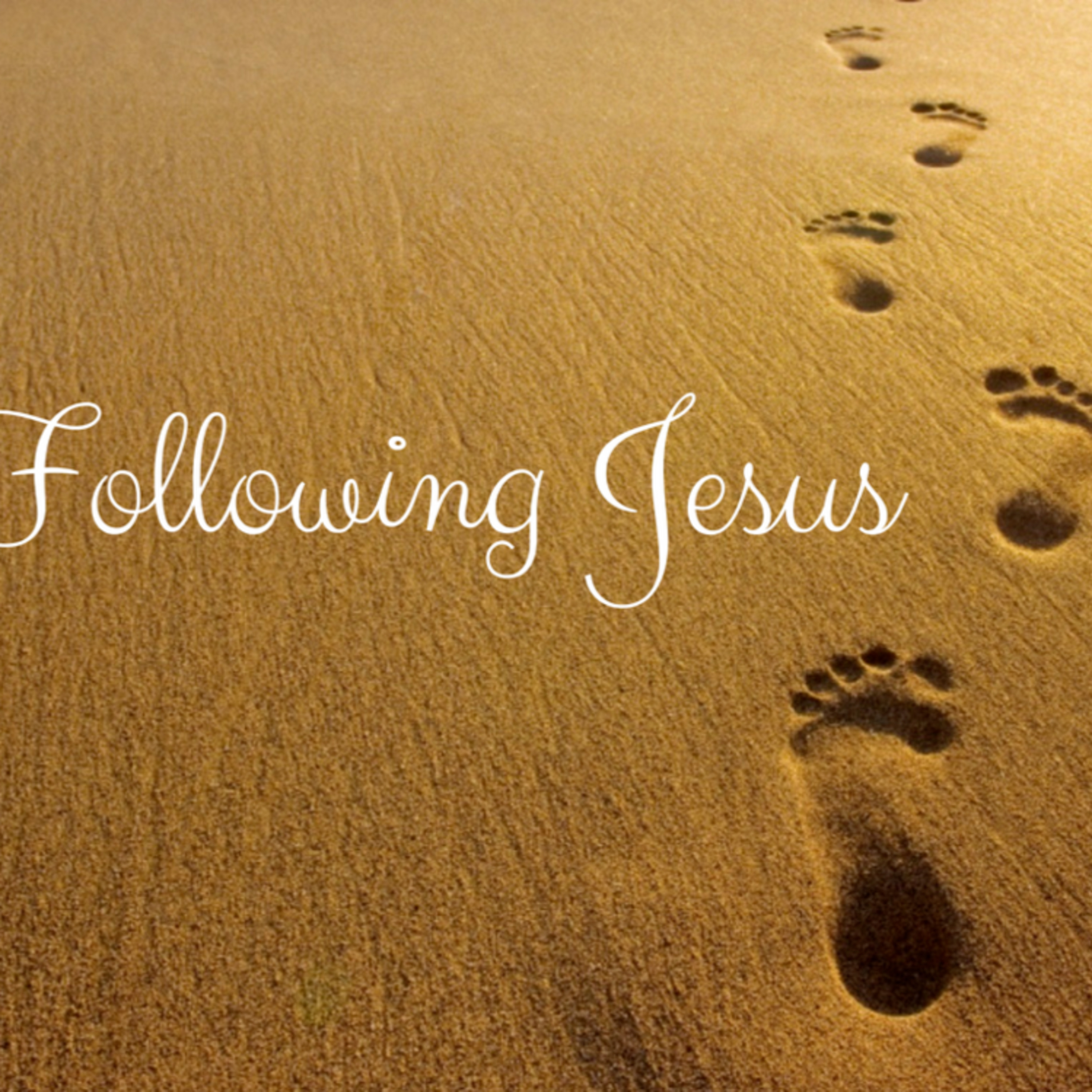 Jn 1: Following Christ  episode artwork
