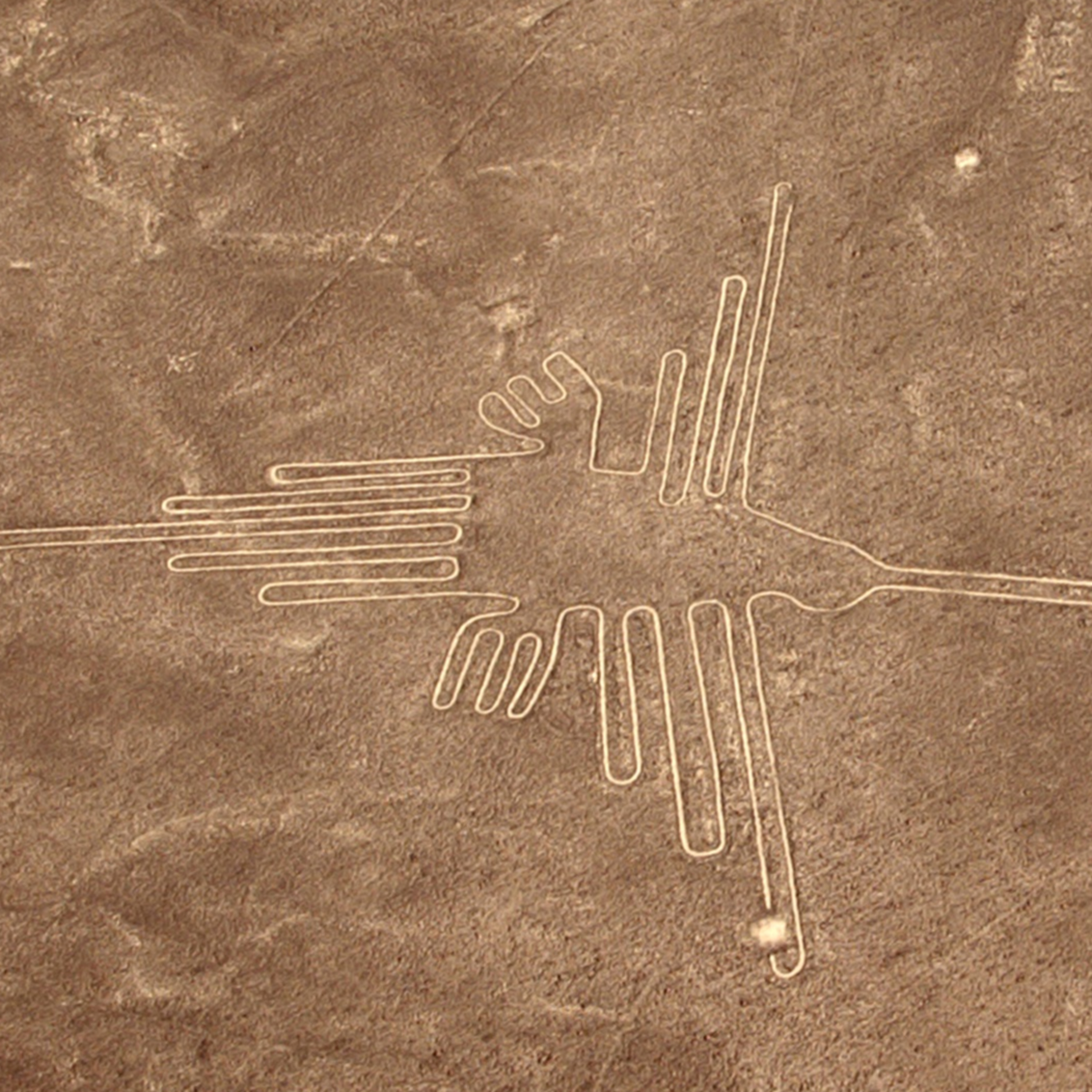 【世界遺産】ナスカの地上絵の謎。宇宙人からのメッセージ?