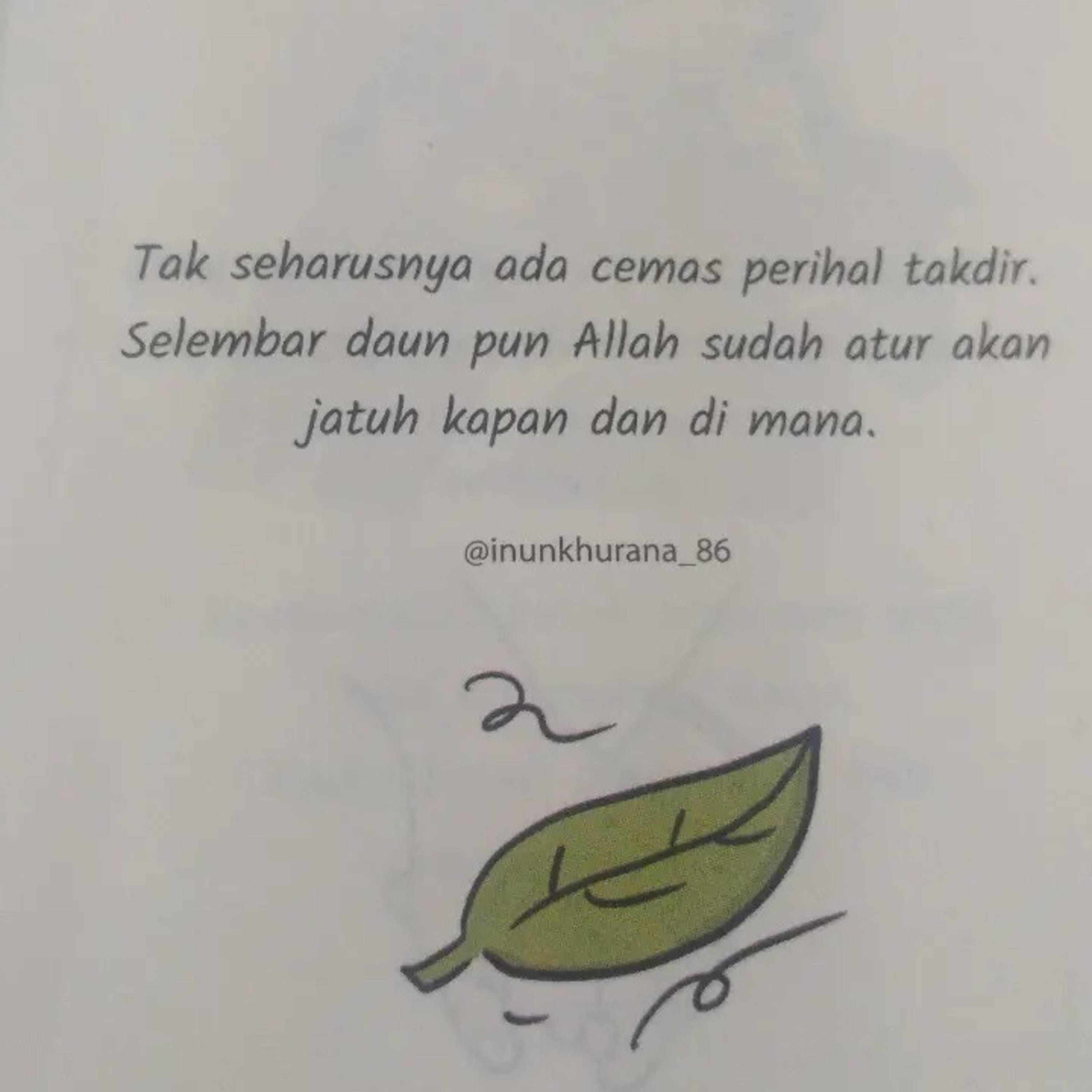 Manusia Dewasa