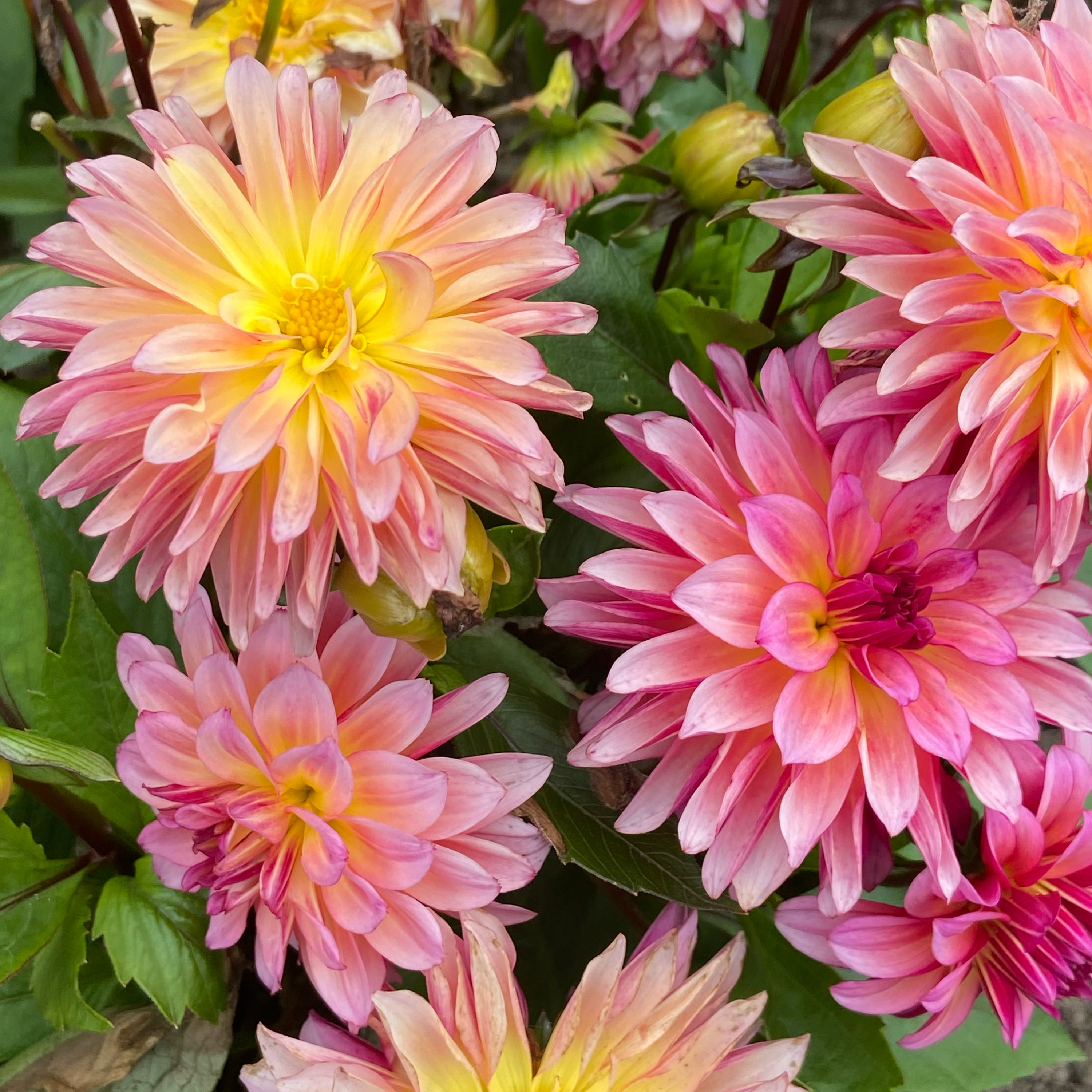 Divine Luv is always a seed worth planting and God’s best is worth the wait.