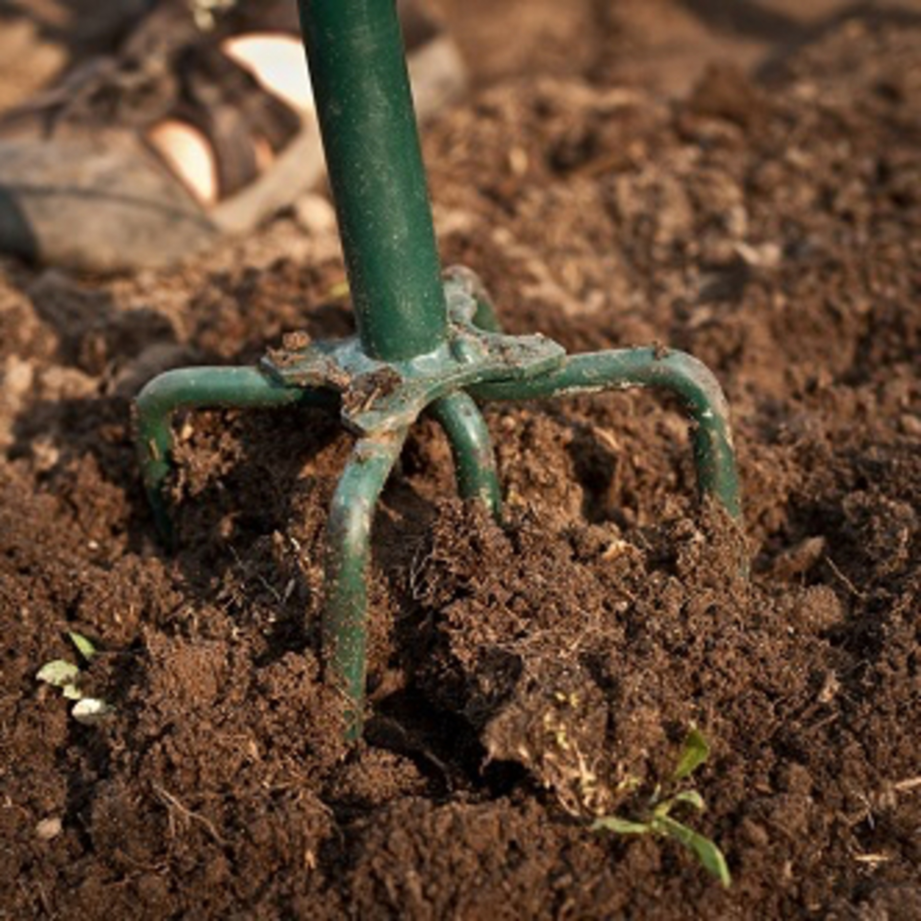 Tilling the ground of the Spiritual garden. episode artwork