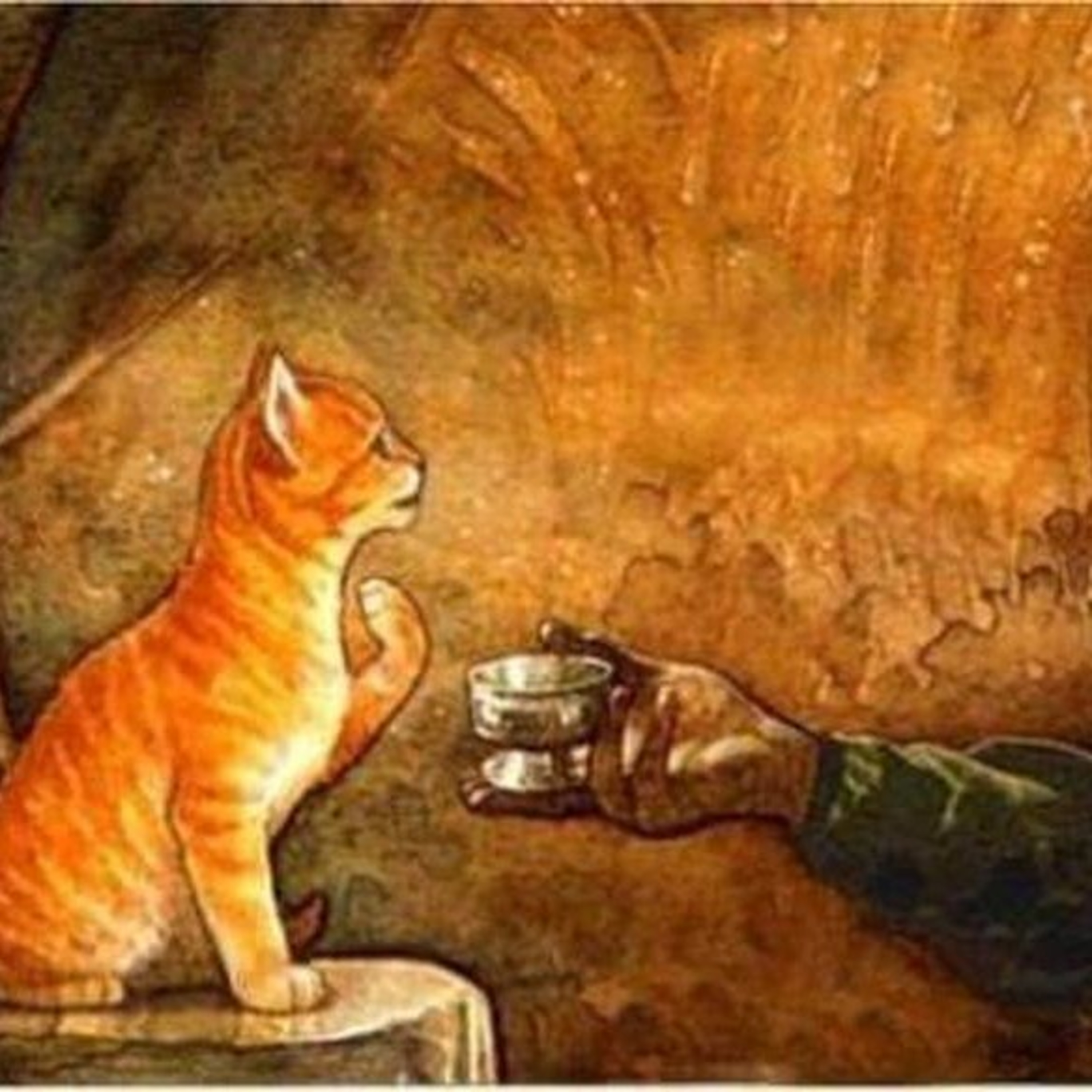 A gata e o sábio ( conto árabe)