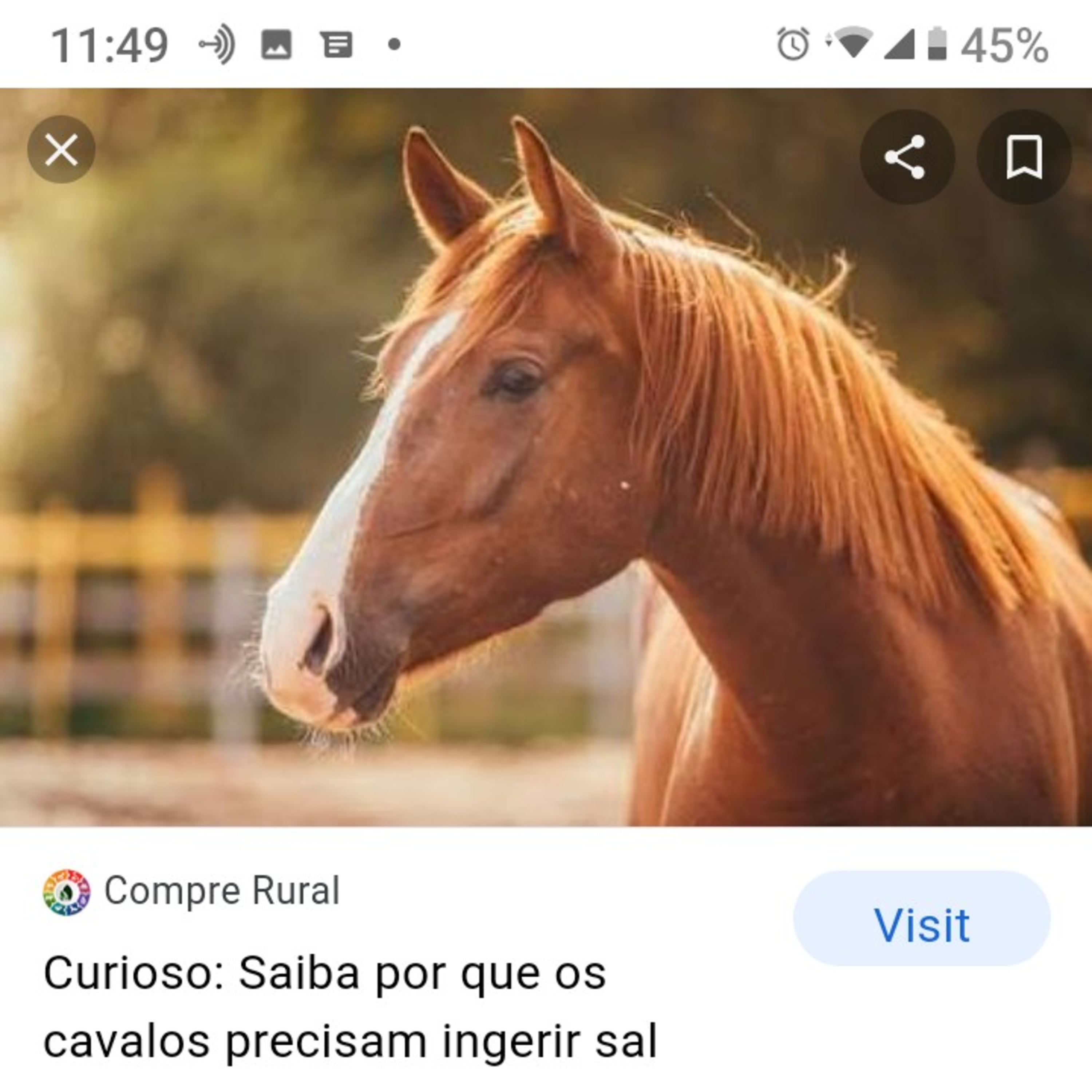 A fábula do cavalo descontente.