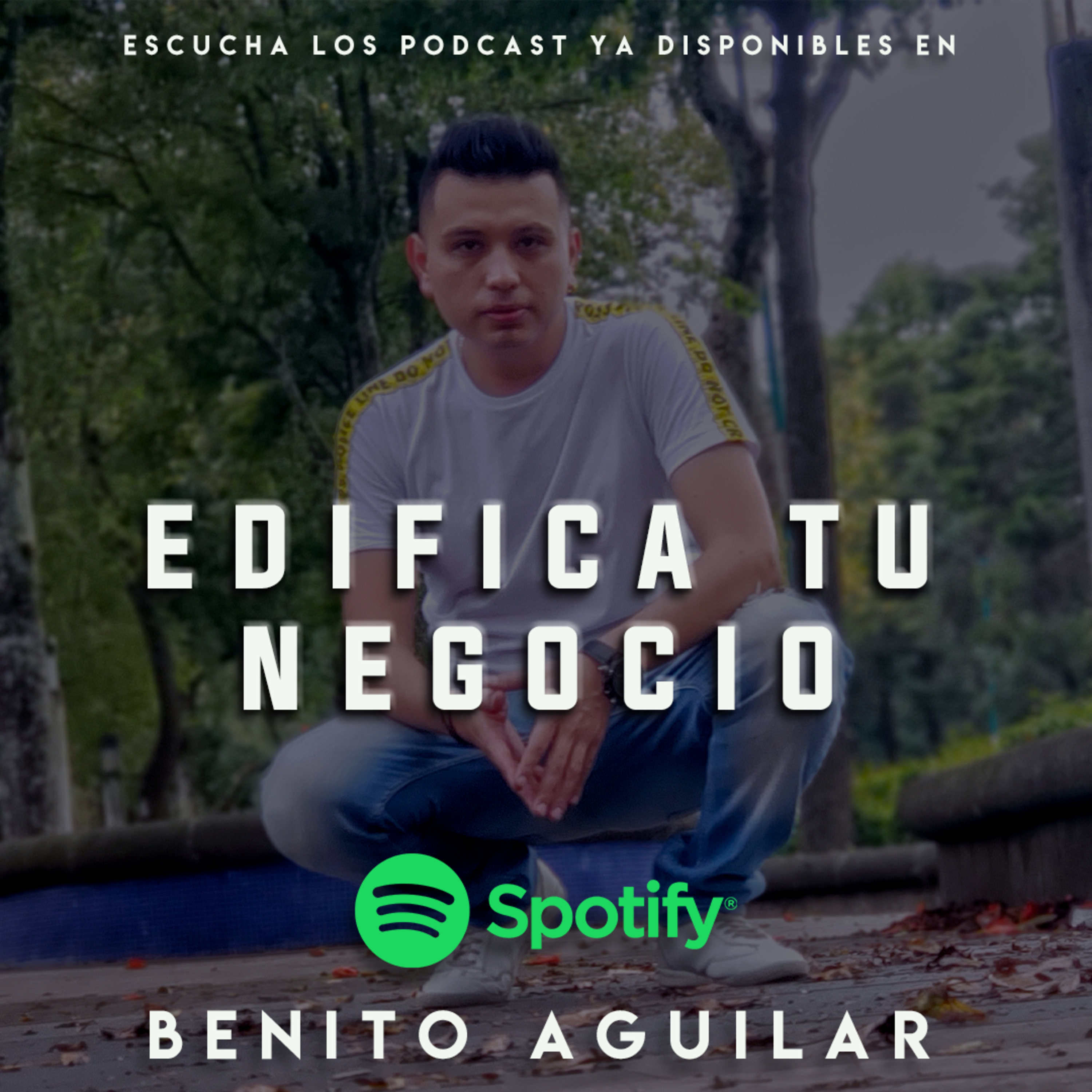 Edifica en tu Negocio ES LO PRINCIPAL episode artwork