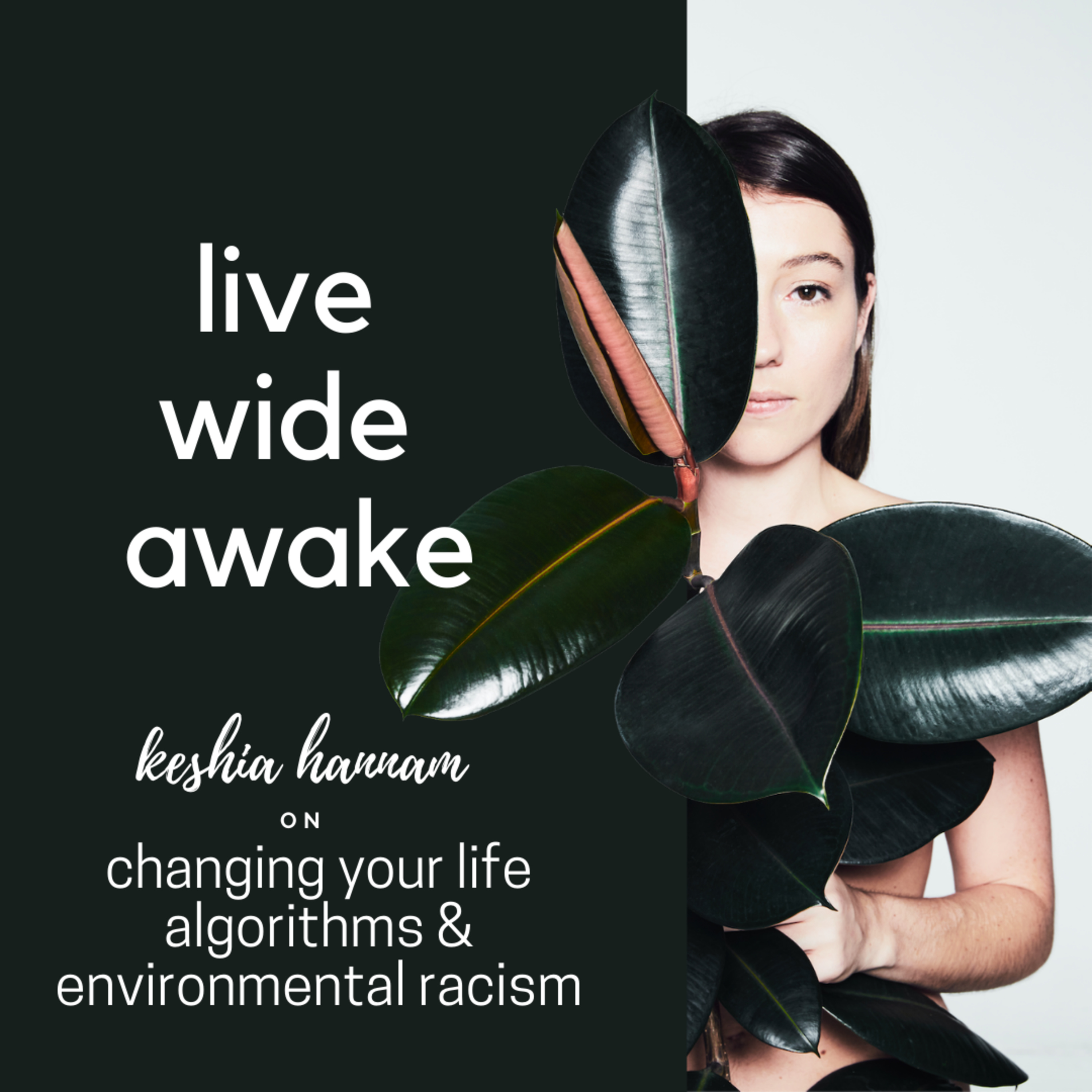 Live Wide Awake - Sustainability & Conscious Leadership