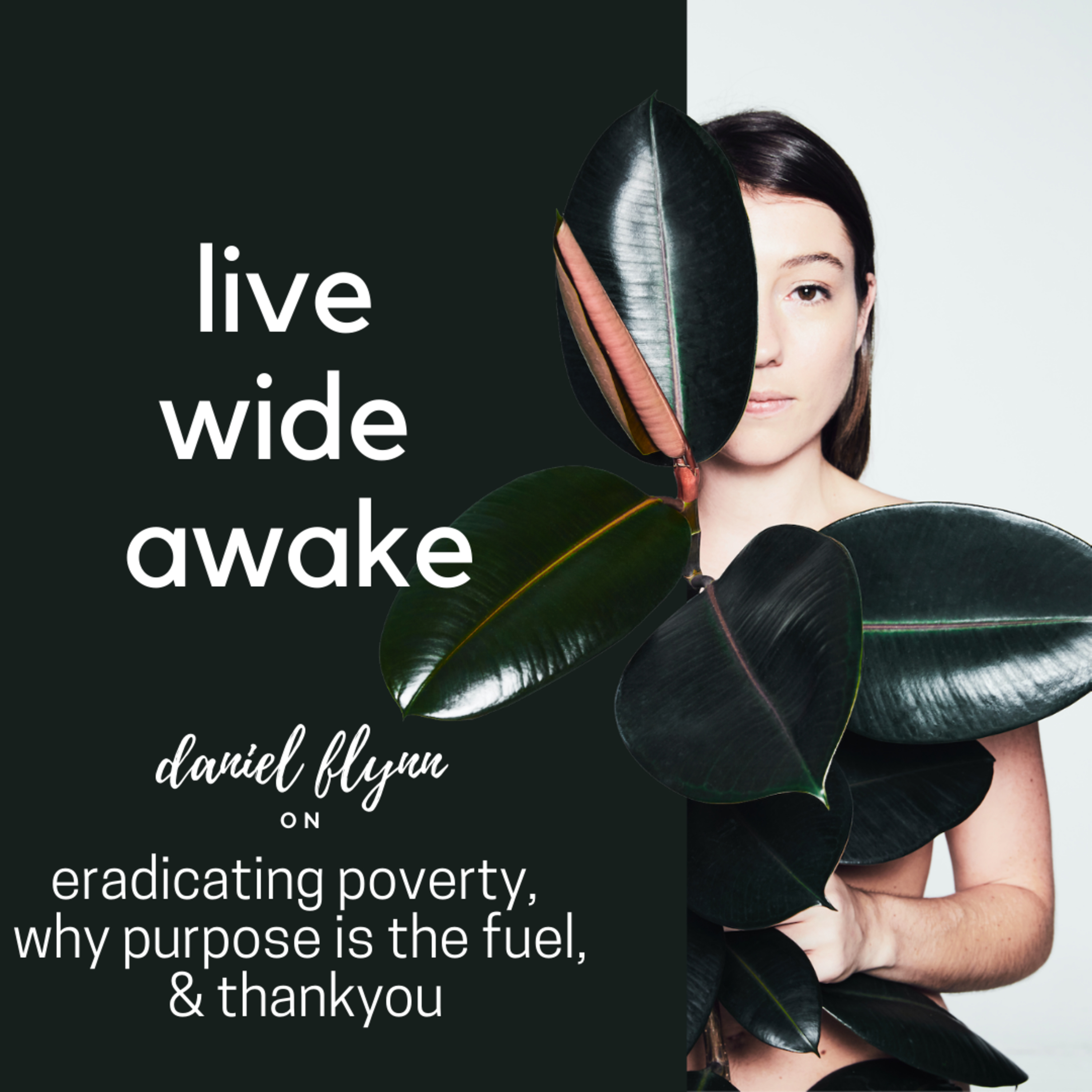 Live Wide Awake - Sustainability & Conscious Leadership